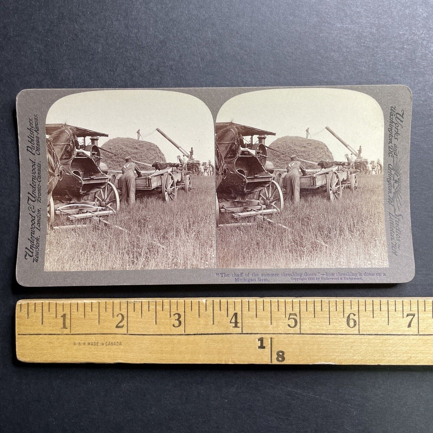 Antique 1903 Farmers Thresh Wheat Michigan USA Stereoview Photo Card P1539