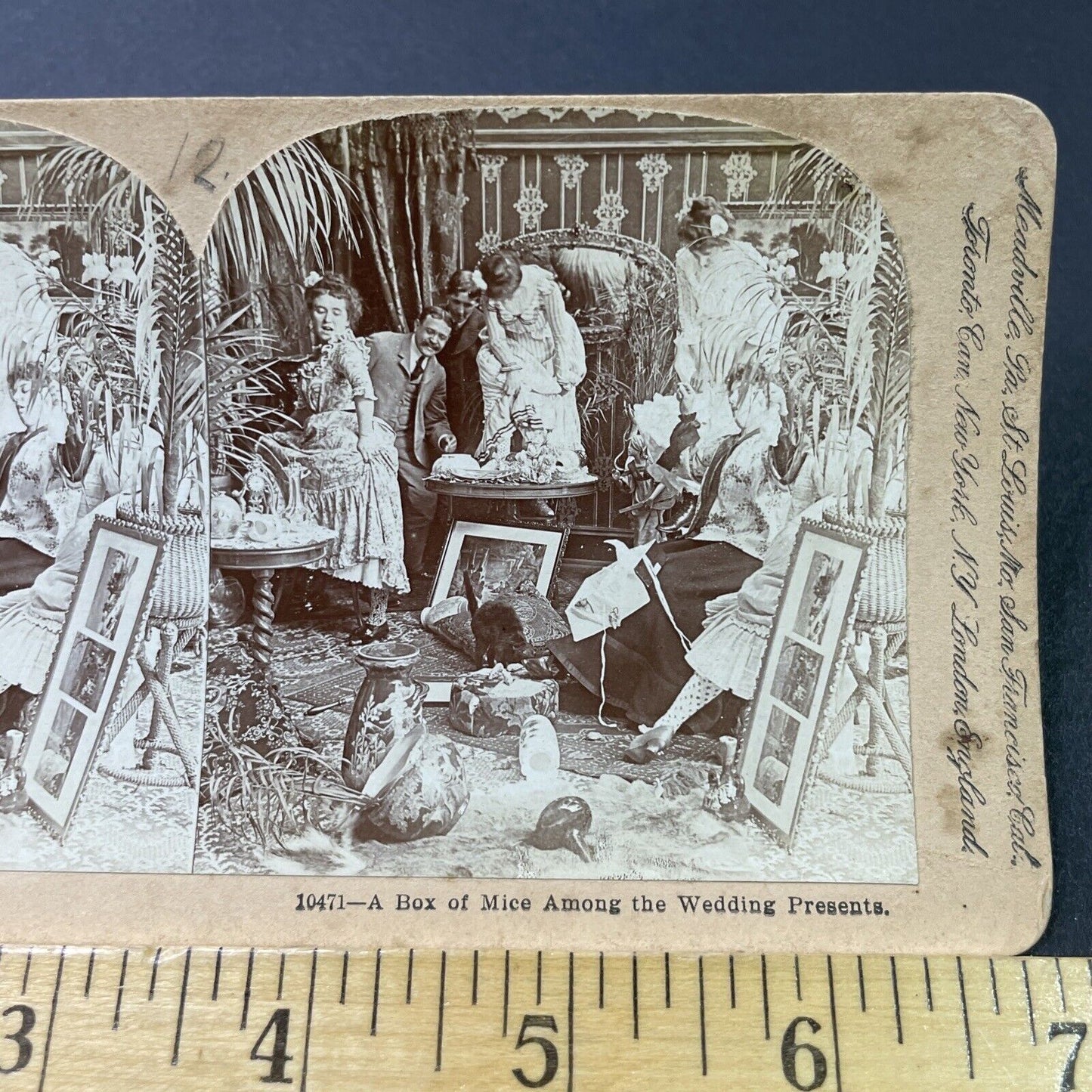 Antique 1897 A Box Of Mice Amongst Wedding Gifts Stereoview Photo Card P2959