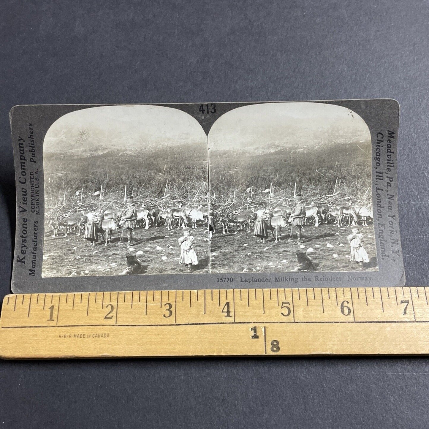 Antique 1910s Lapland Natives Milk A Reindeer Norway Stereoview Photo Card P5067