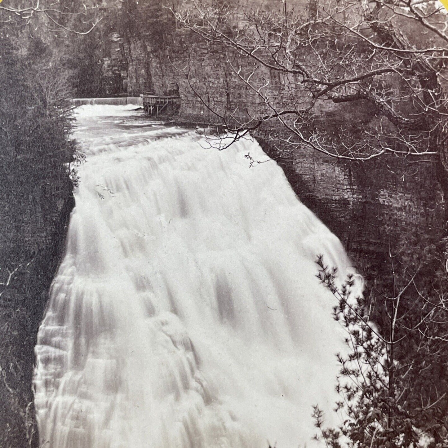 First Falls Waterfall Ithaca New York Stereoview Fall Creek Antique c1870s Y533
