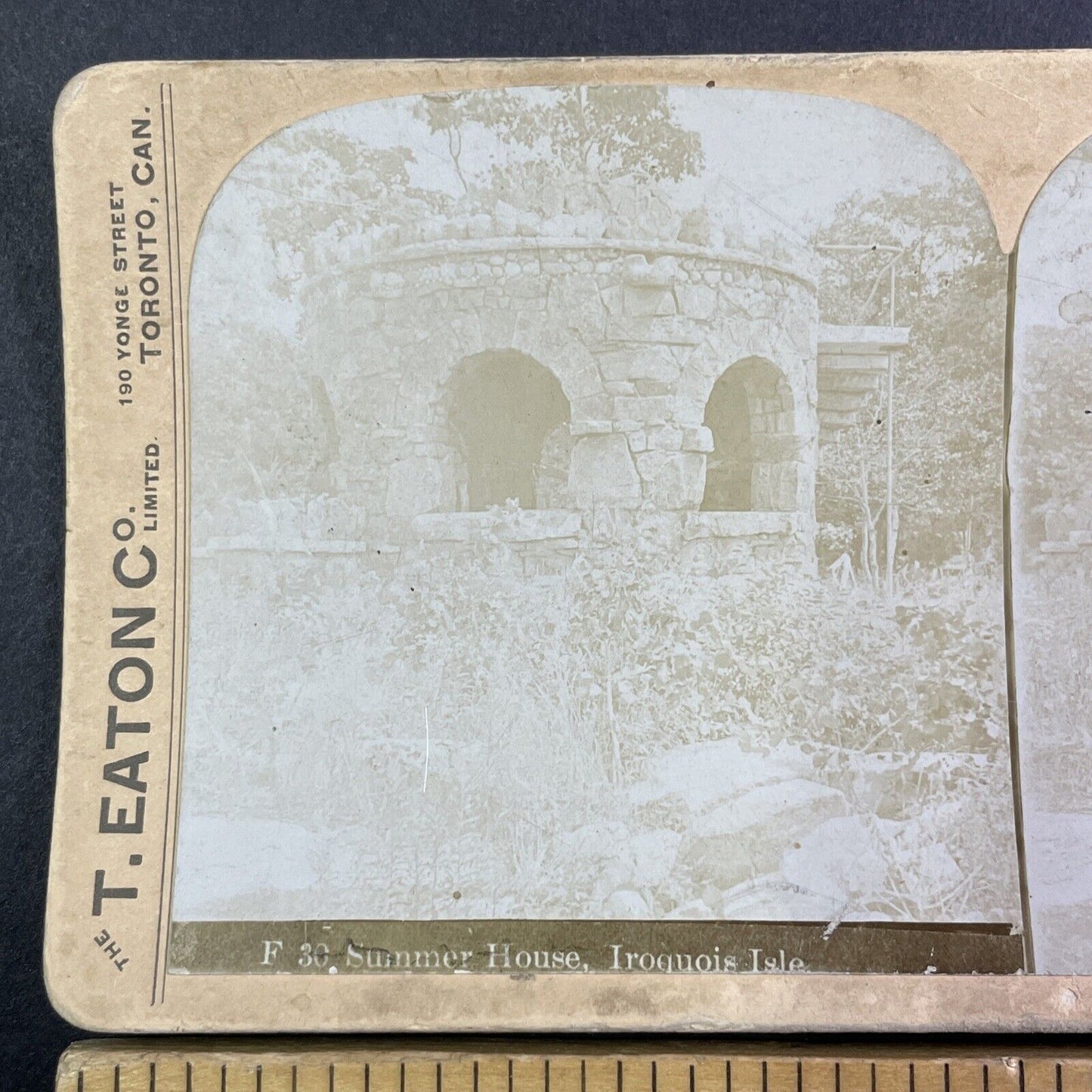 Iroquois Island Lookout Thousands Islands Stereoview Timothy Eaton c1890s Y1719