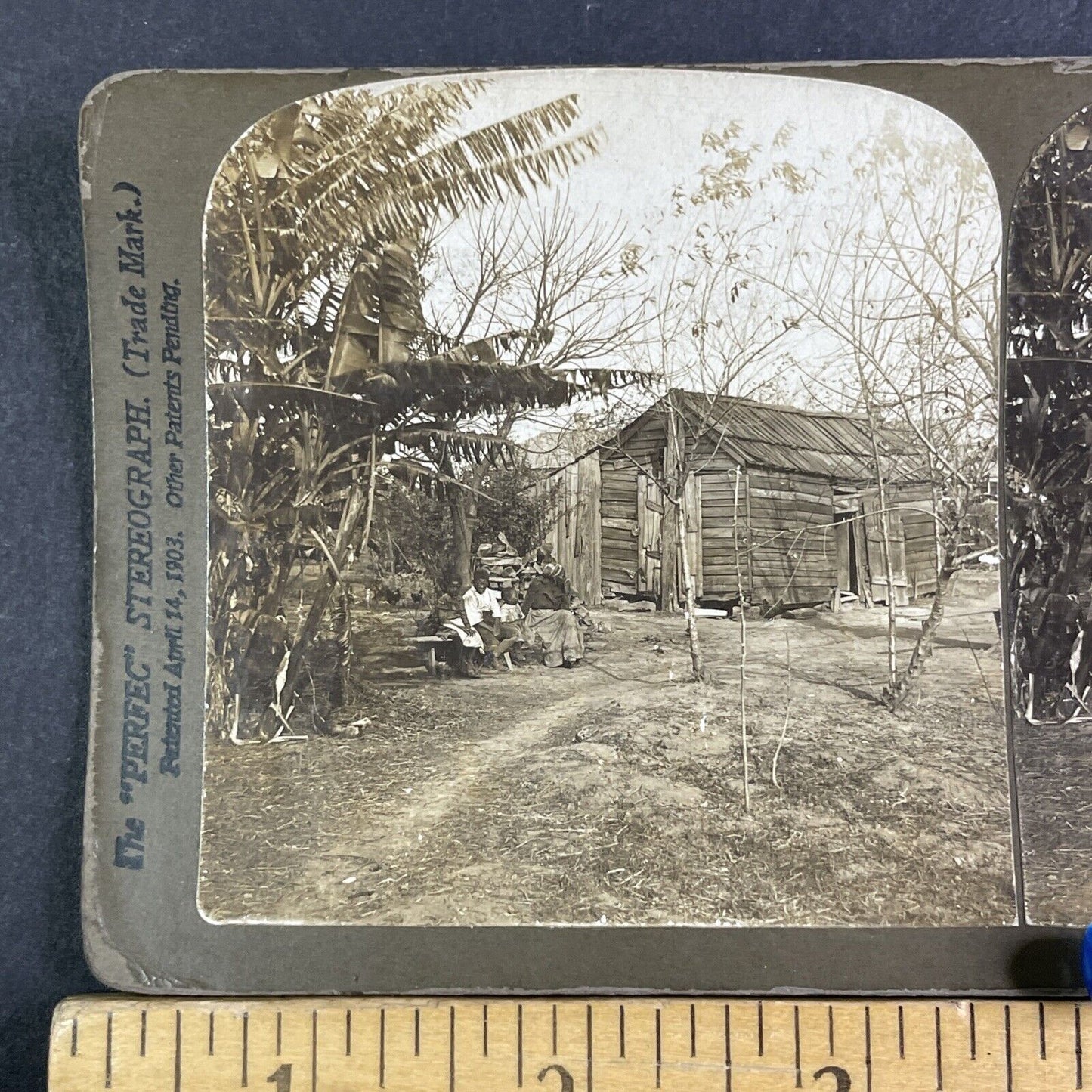 African American Home Stereoview Mississippi River Delta LA Antique c1902 X3133