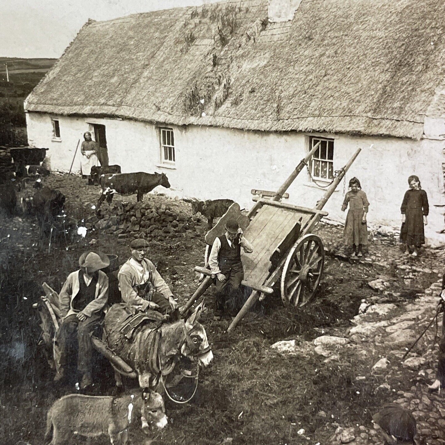 County Kerry Farm House Ireland Stereoview H.C. White Antique c1902 Y408