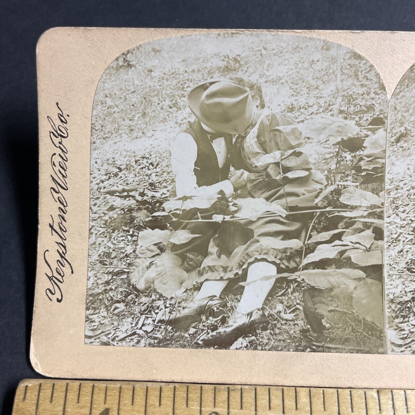 Antique 1890s Man And Woman Kissing In A Field Stereoview Photo Card P4733