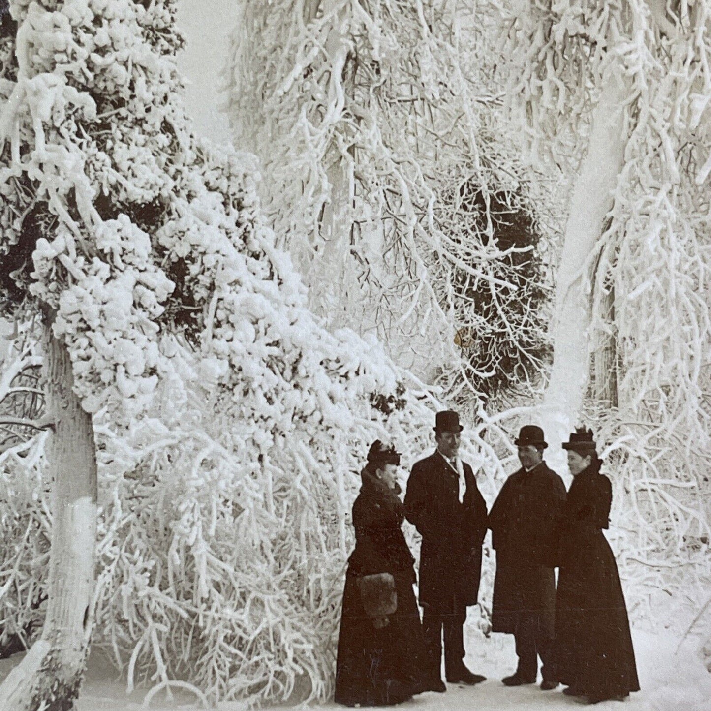 Tourists Visit Frozen Niagara Park for a Wedding Stereoview Antique c1893 Y1861