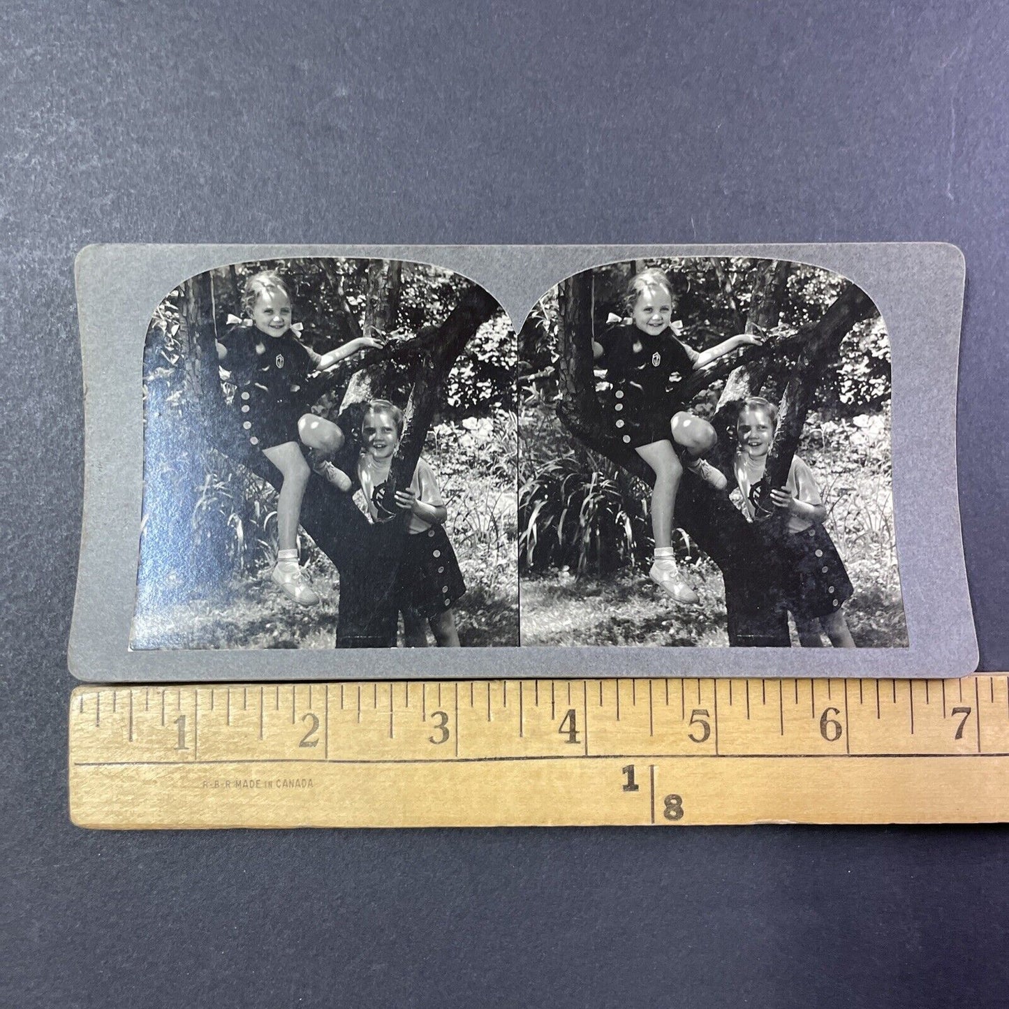 Family Of Harley W. Russ Stereoview Haverhill Massachusetts Antique c1930 X2783