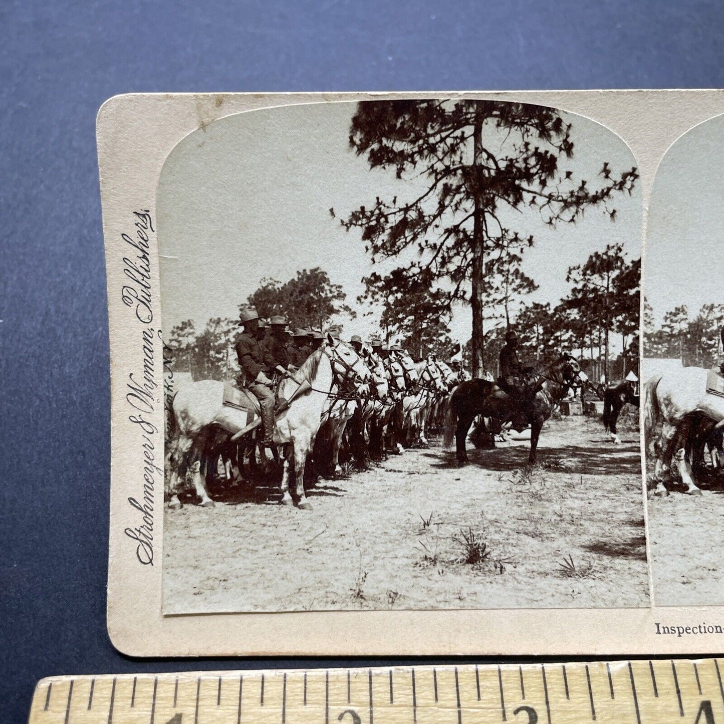 Antique 1898 6th US Cavalry In Tampa Bay Florida Stereoview Photo Card P2361