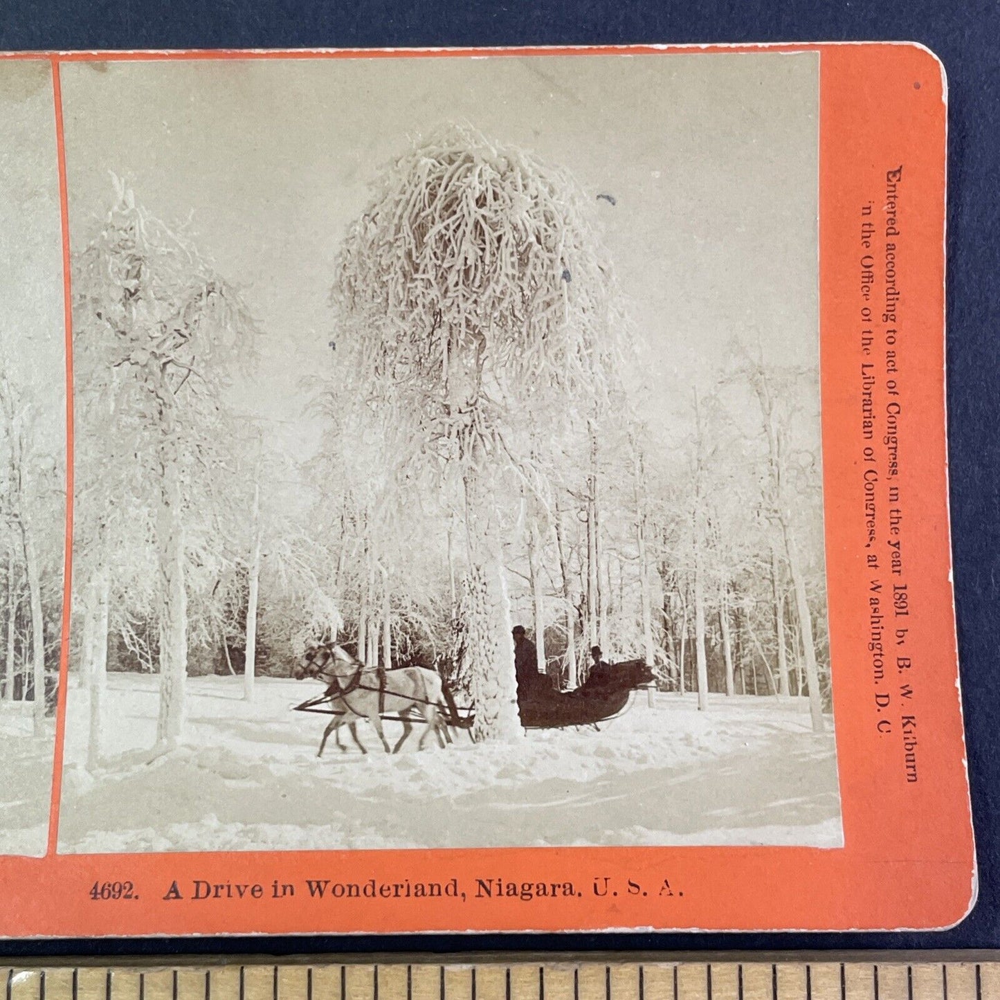 Niagara Falls Christmas Sleigh Ride Stereoview B.W. Kilburn Antique c1891 Y2124