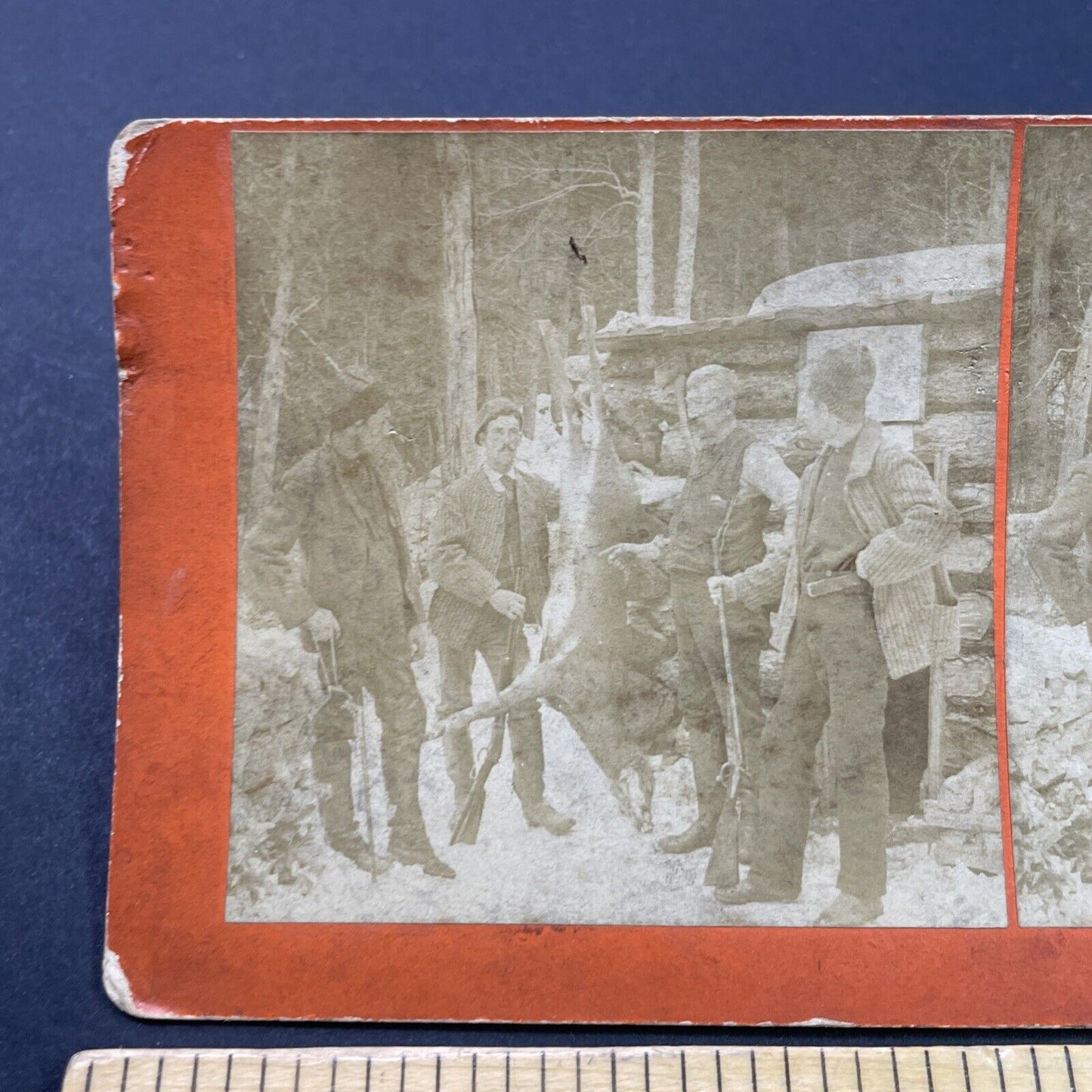 Antique 1890 Deer Hunting Littleton New Hampshire Stereoview Photo Card P2624