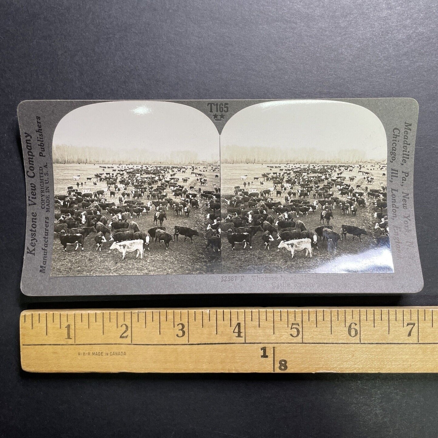 Antique 1918 Cattle Ranch In Boise Idaho Stereoview Photo Card P1360