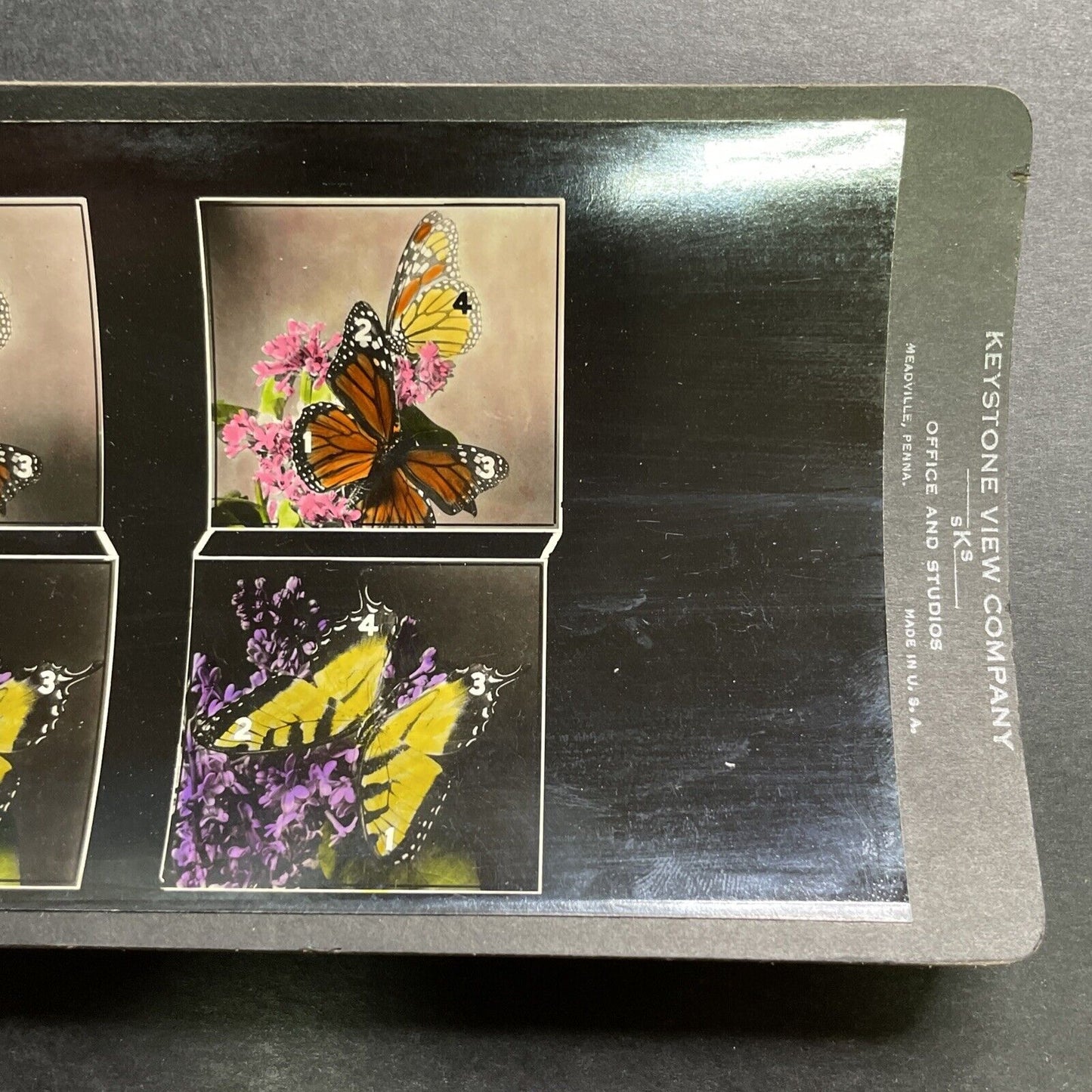 Antique 1920s Eye Training Slide (Butterflies) Stereoview Photo Card P1281