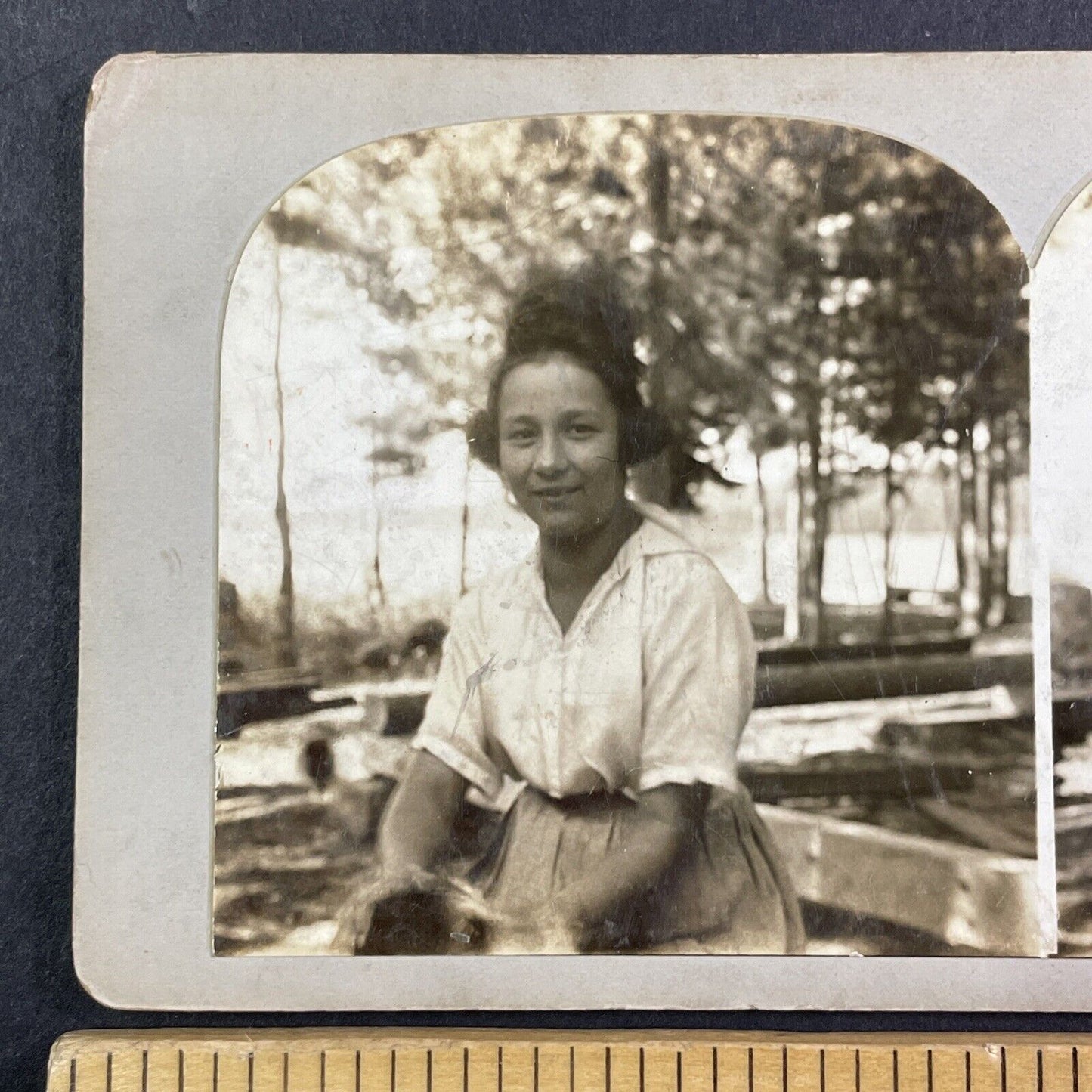 Lot of 3 Bass Lake Village California Stereoviews Camping Antique c1910s X3892