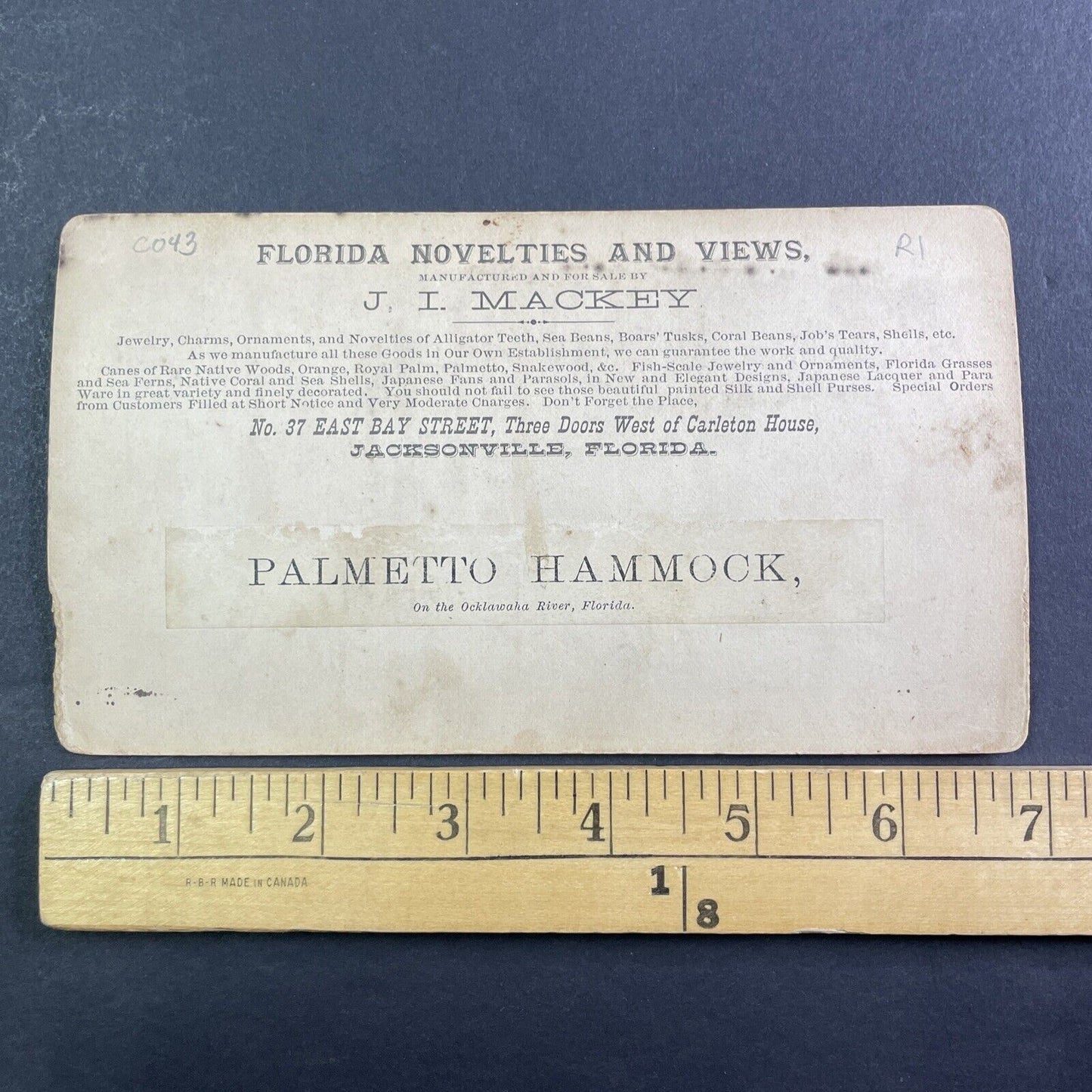 Palmetto Hammock Ocklawaha River Florida Stereoview J.I. Mackey c1885 Y094