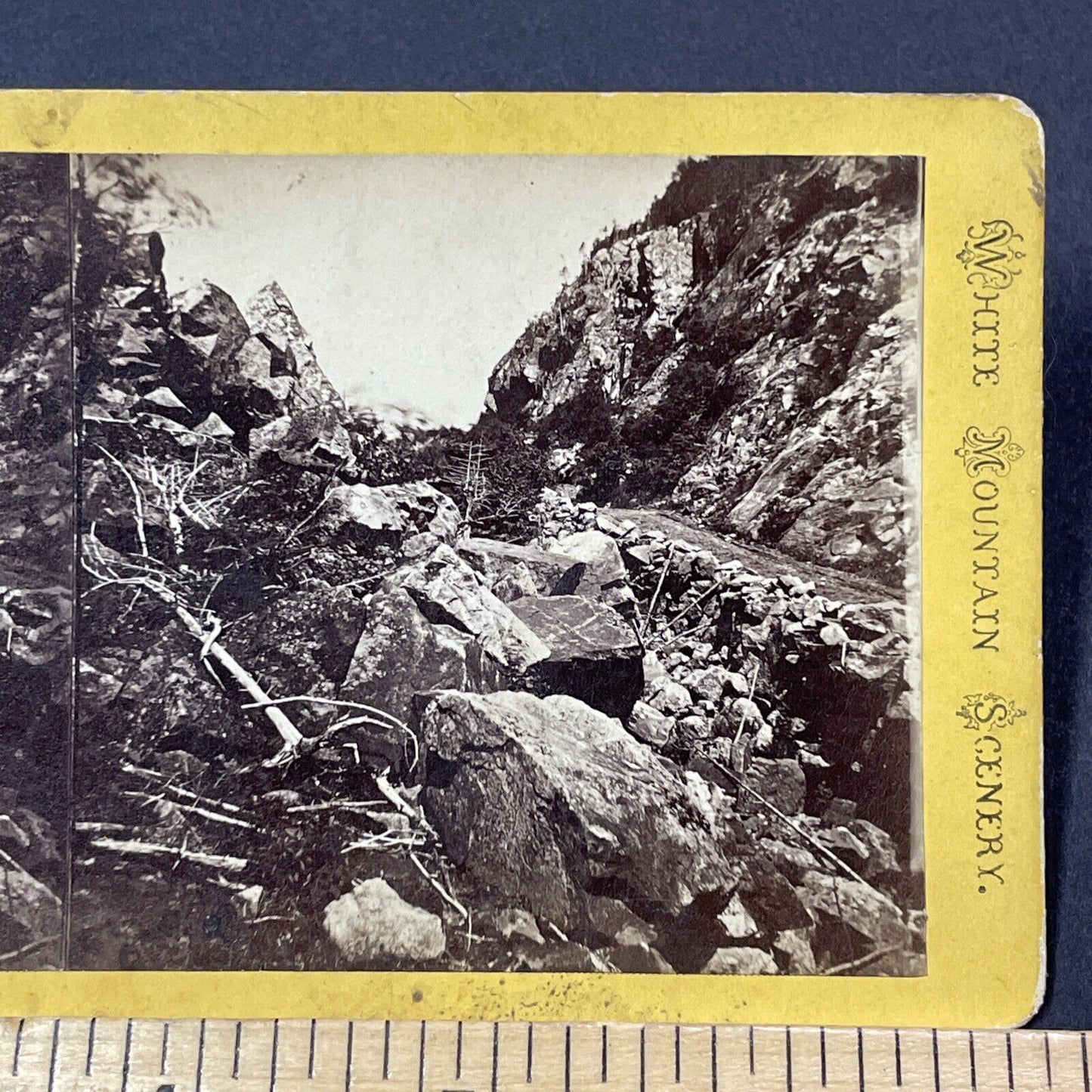 Antique 1870s Logging Road White Mountains NH Stereoview Photo Card V1851