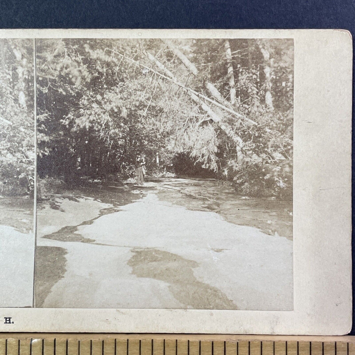 Charles Bierstadt Self Portrait Franconia Notch Stereoview Antique c1870 X979