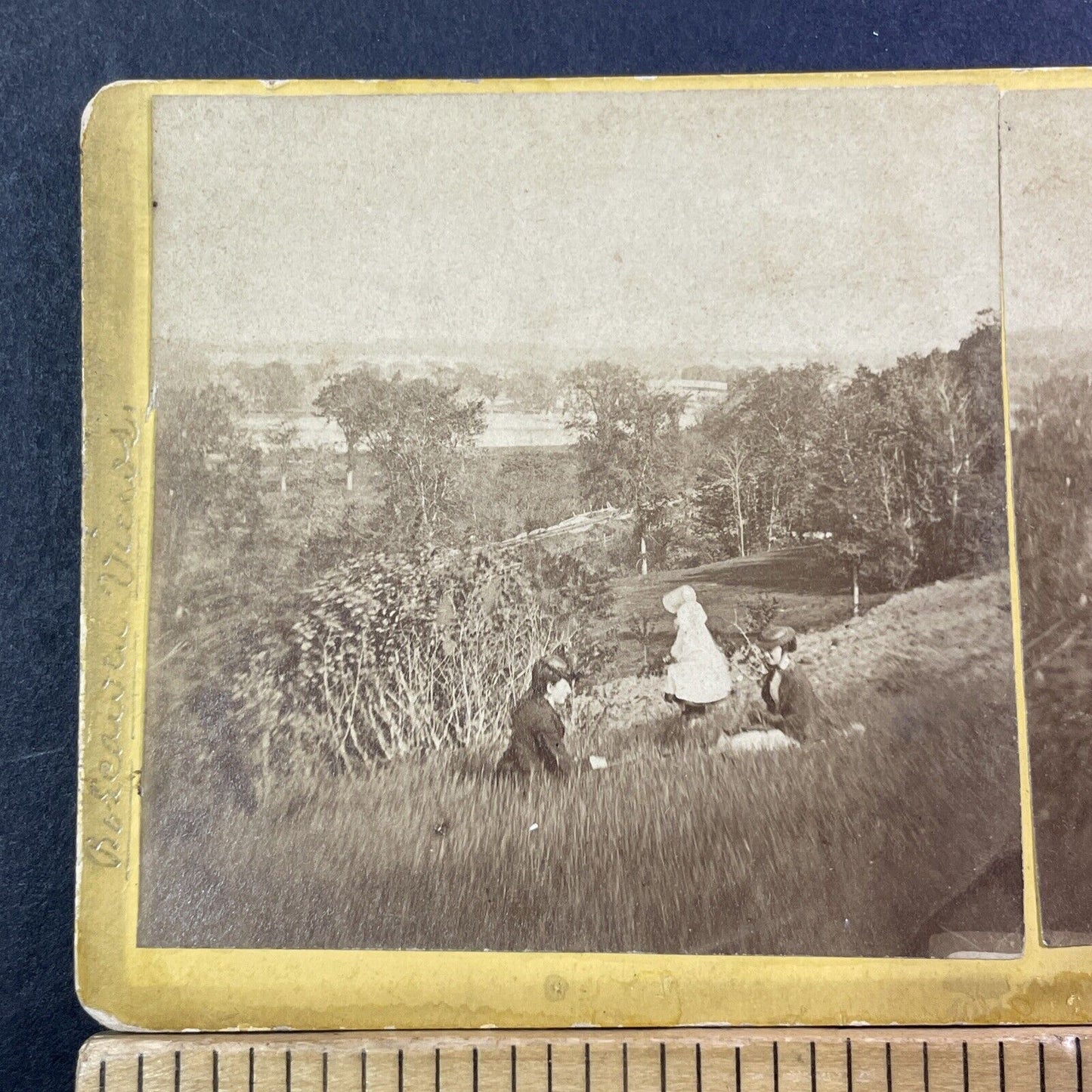 Women Picnic In Boscawen NH Stereoview MC Harriman Antique c1875 X1219