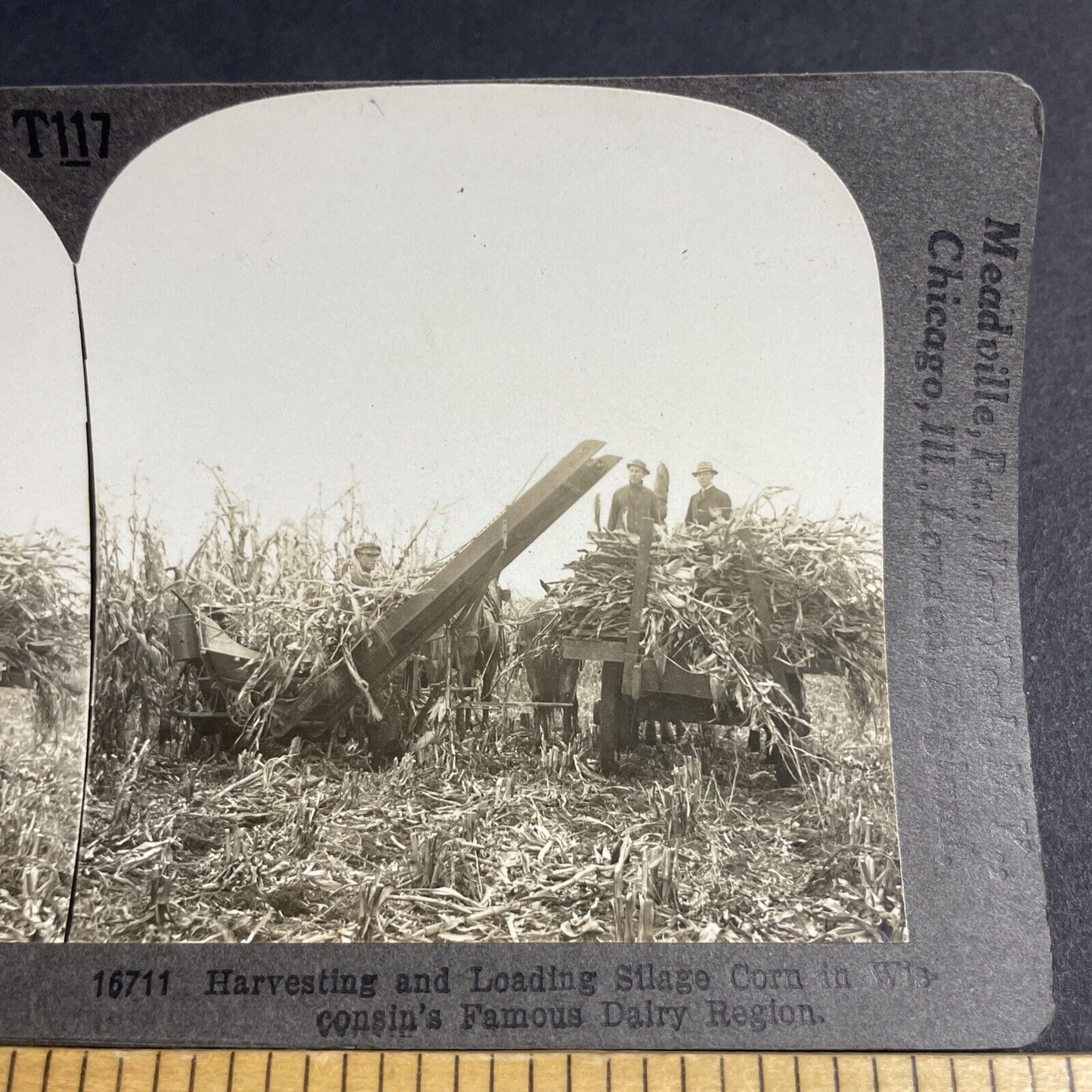 Antique 1910s Primitive Corn Harvesting Machine WI Stereoview Photo Card P4865