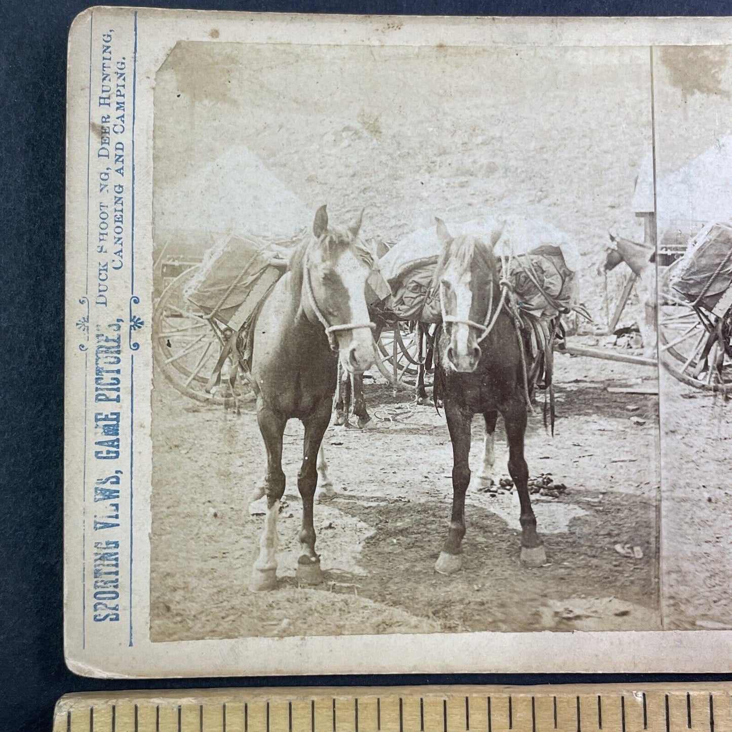 T.W. Ingersoll's Pack Horses Stereoview T.W. Ingersoll Antique c1888 Y428