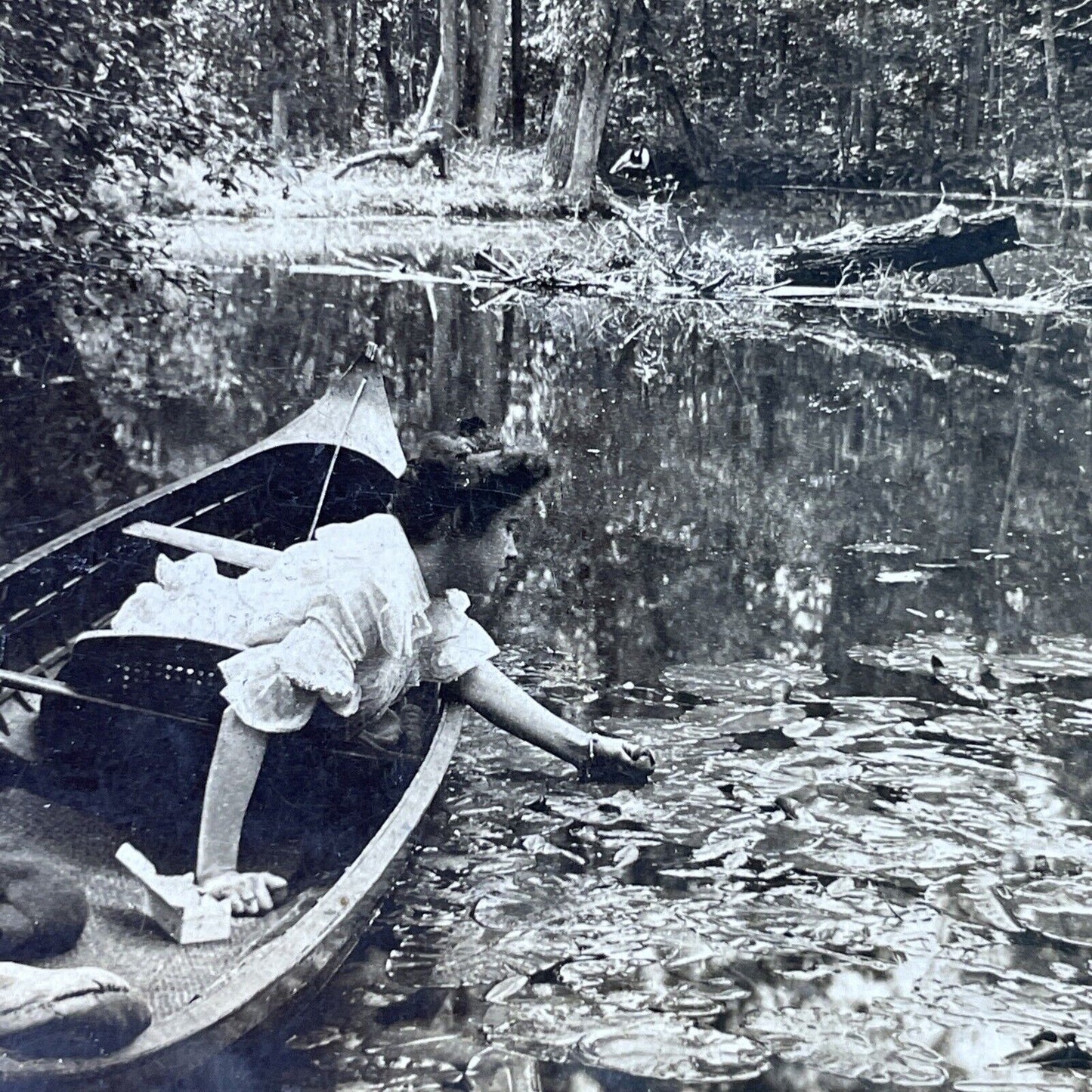 Antique 1902 Woman Catches Frog In Pond From Canoe Stereoview Photo Card P2998