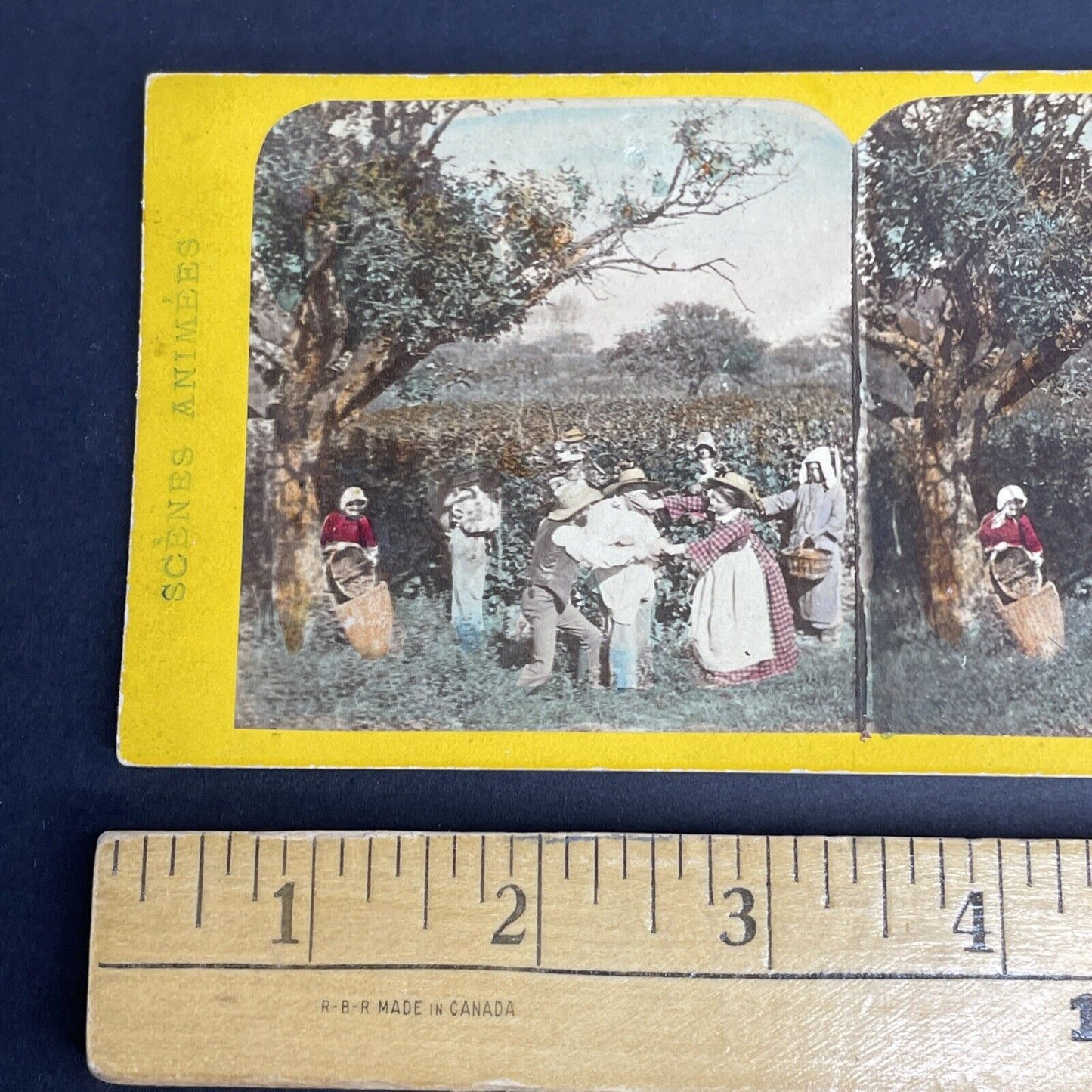 Antique 1880's Arresting A Vegetable Thief Stereoview Photo Card PC817