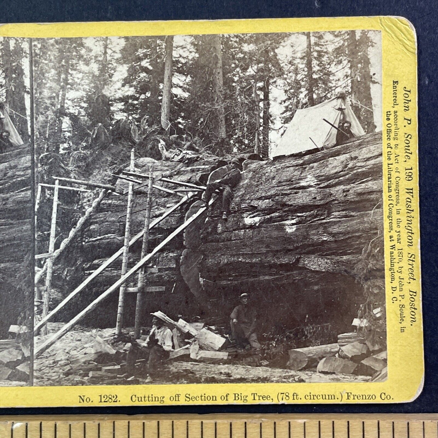 Cutting Giant Sequoia Tree Stereoview Fresno CA J.P. Soule Antique c1870 X3735