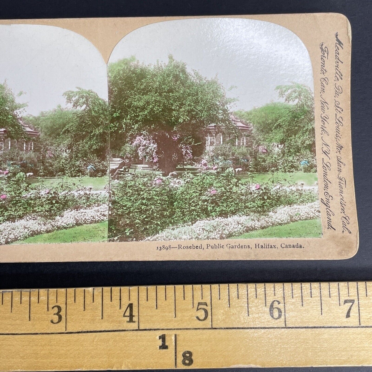 Antique 1890's Public Gardens Halifax Nova Scotia Stereoview Photo Card PC856