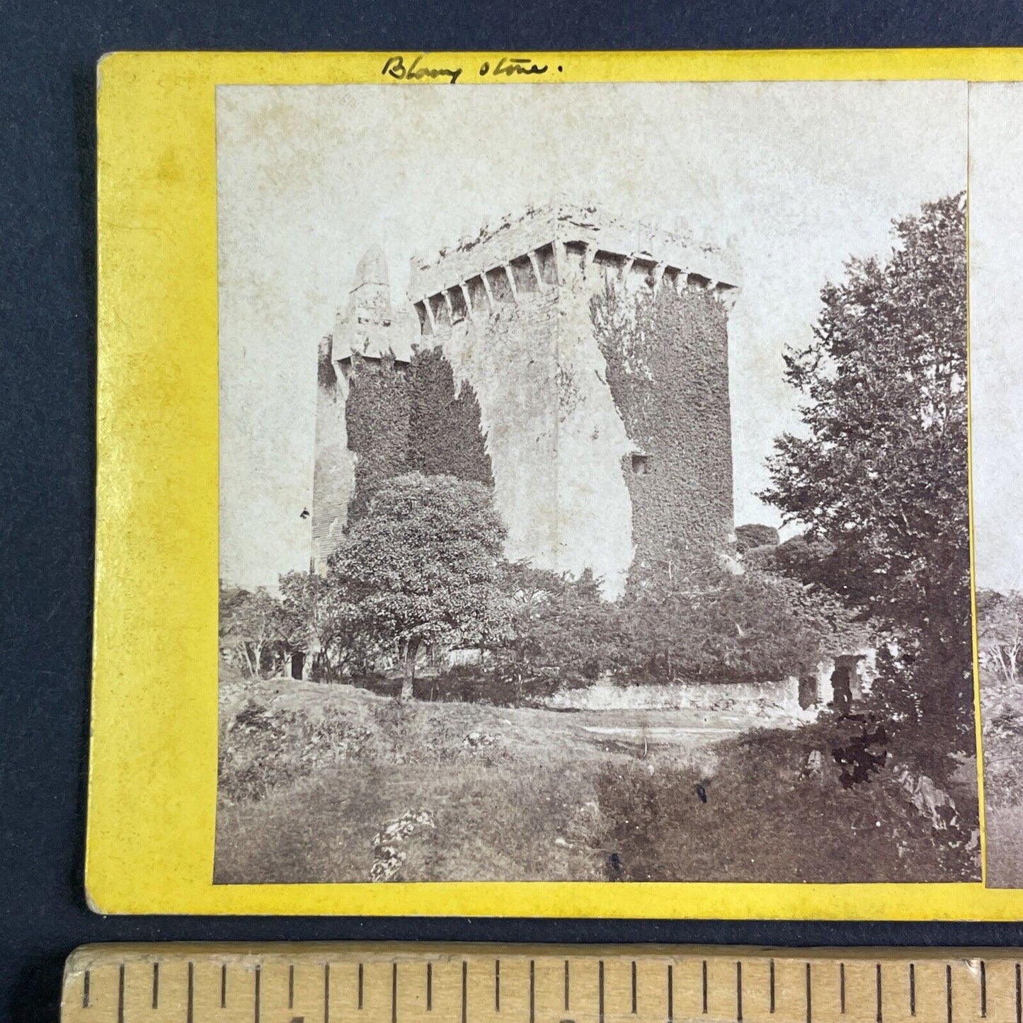 The Blarney Stone & Castle Stereoview Cork Ireland Antique c1870 X3595