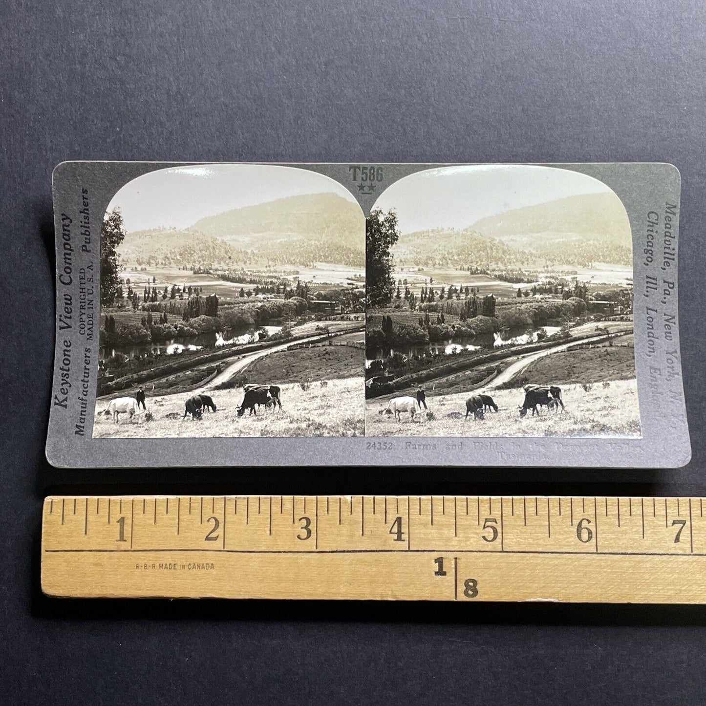 Antique 1918 Farms In Derwent Valley Tasmania Stereoview Photo Card P1771