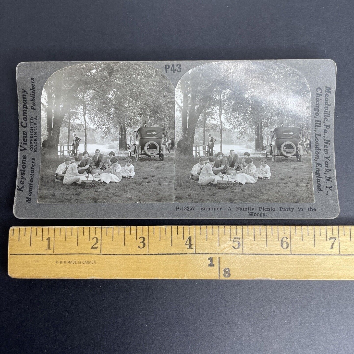 Antique 1920 American Family Picnic West Coast Stereoview Photo Card PC839