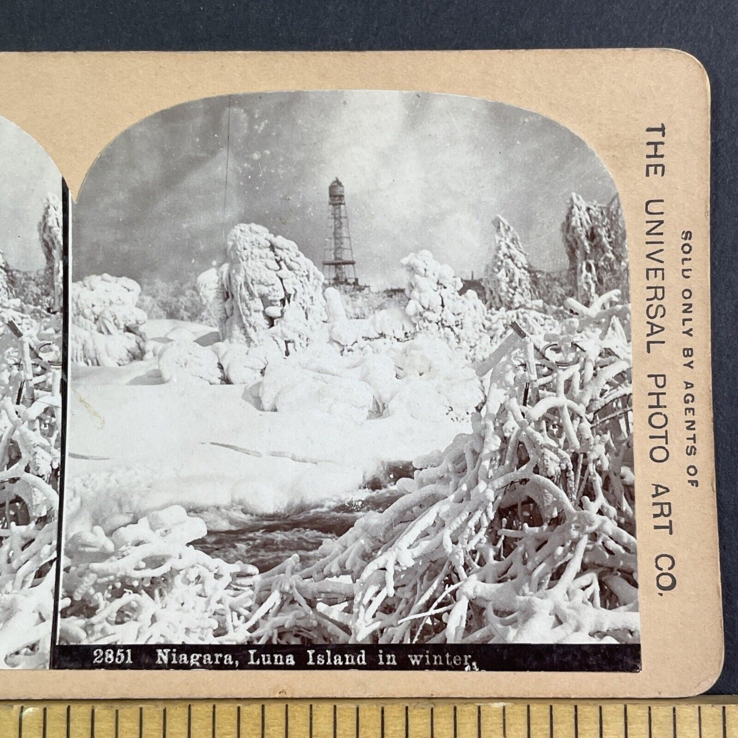 Observation Tower Luna Island New York Stereoview Antique c1898 X3183