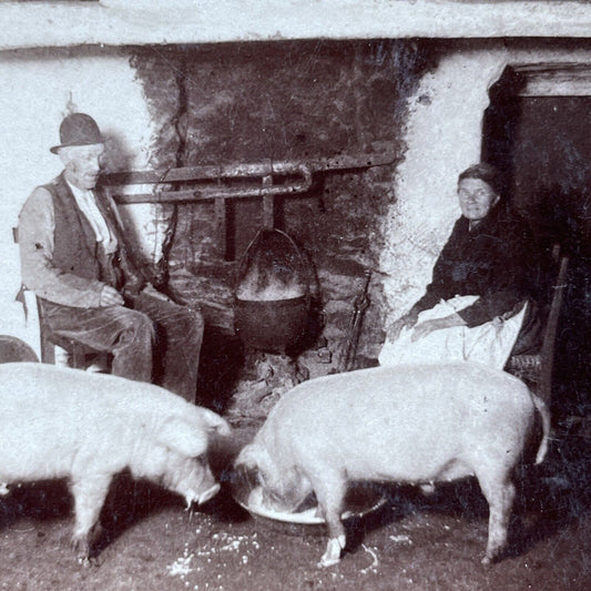 Antique 1896 Poor Irish Farmers Near Killorglin Stereoview Photo Card P2390