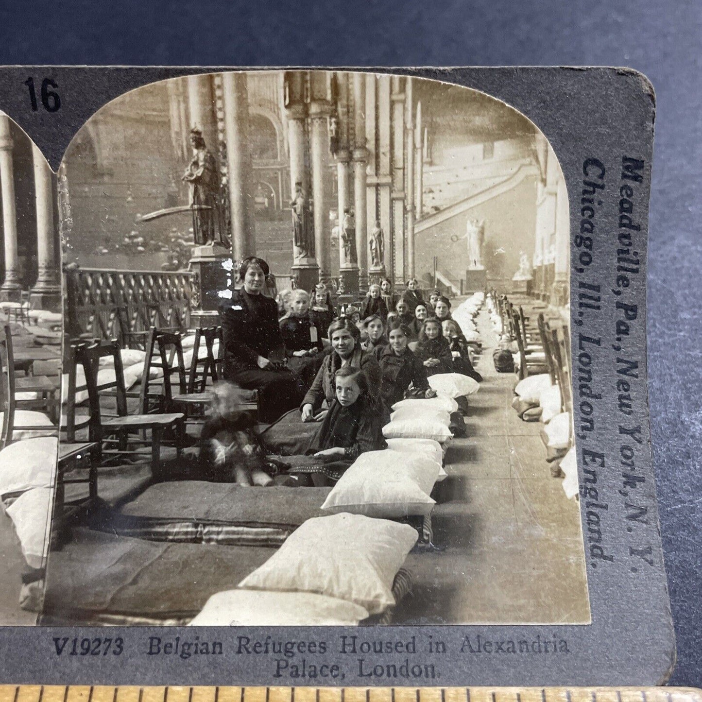 Antique 1917 Belgian Women Girls Female Refugees Stereoview Photo Card P5007