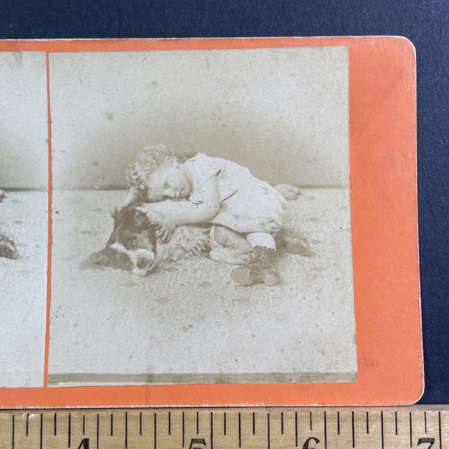 Child Cuddling Her Dog Stereoview Border Collie Antique c1865 X1535