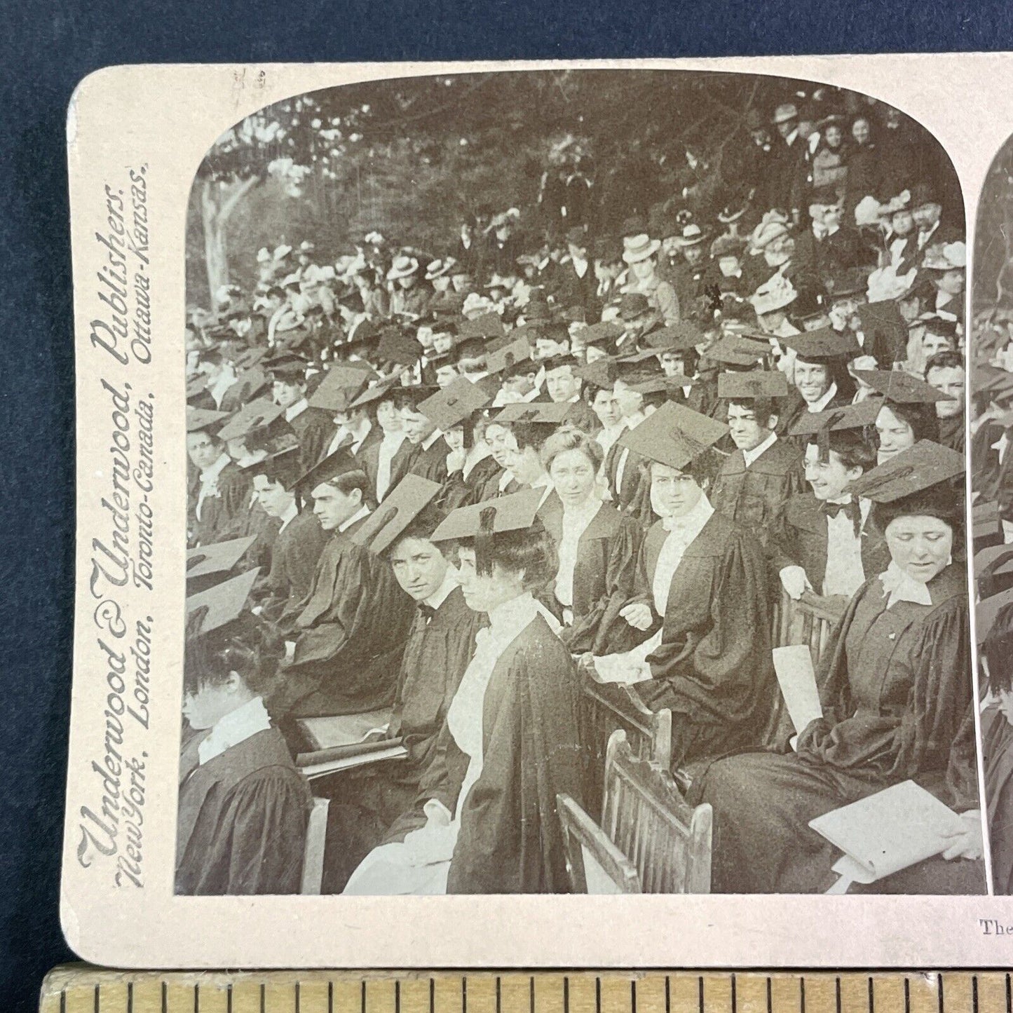 UC Berkeley Graduation Day Female Students Stereoview Antique c1901 X3265