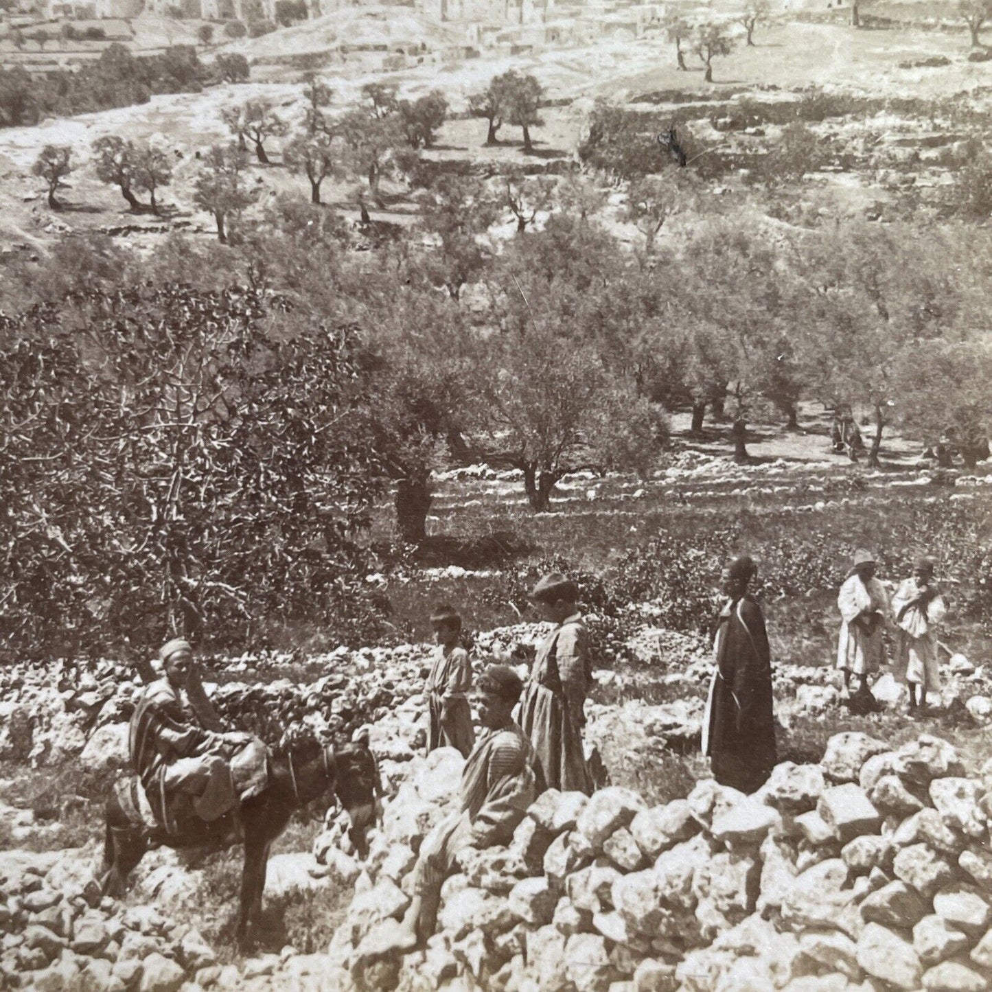 Antique 1899 City Of Hebron Israel Palestine Stereoview Photo Card P1335