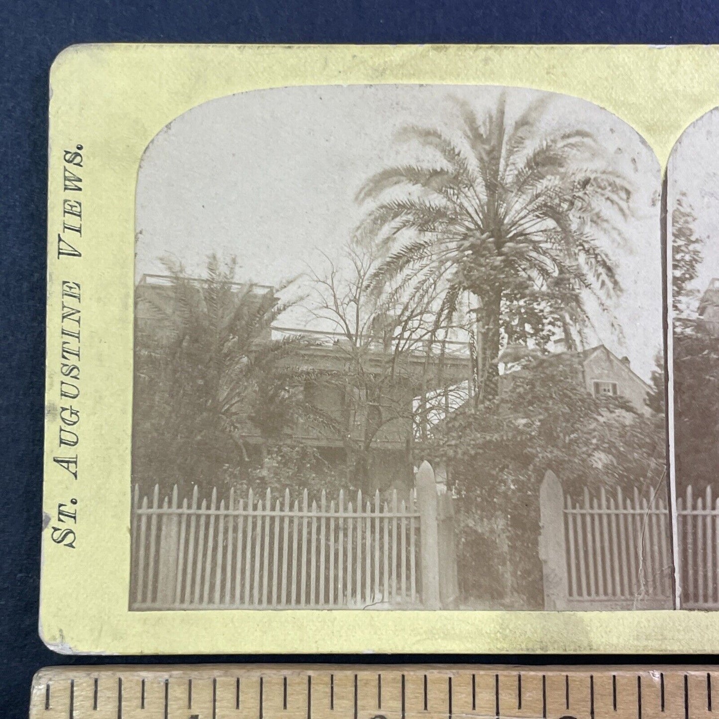 Dr. Oliver Bronson House St. Augustine FL Stereoview George Pierron c1875 Y046