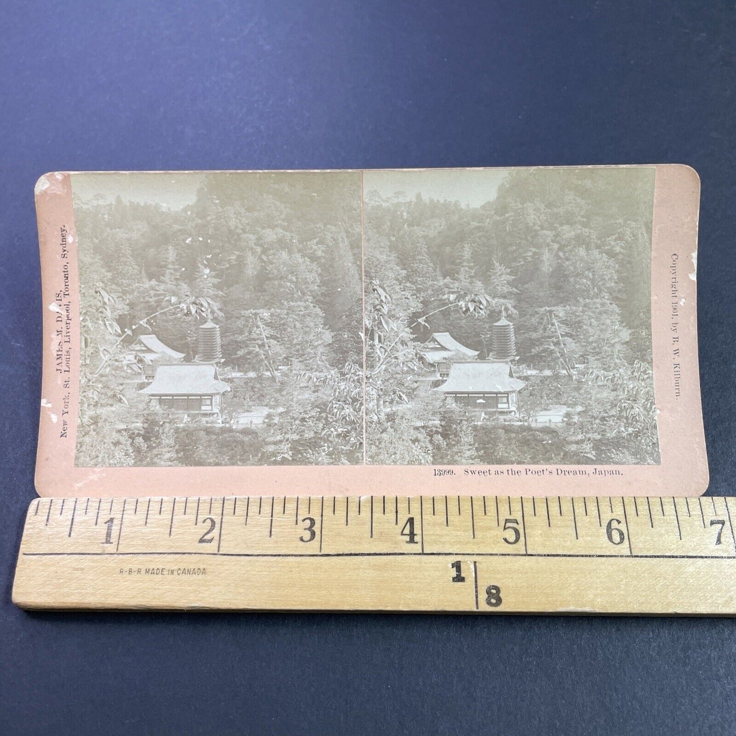 Antique 1901 Tanzan Jinja Jusanjunoto Shrine Sakurai Stereoview Photo Card P3779
