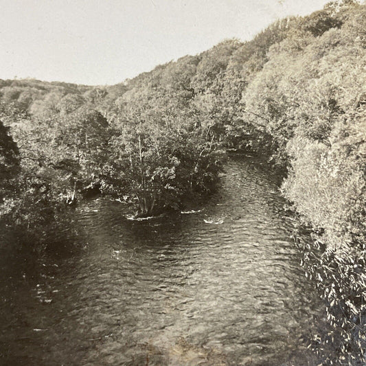 Antique 1903 The River In Ayrshire Scotland UK Stereoview Photo Card P4216