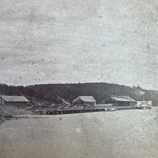 Antique 1870s Alton Bay New Hampshire Steamers Stereoview Photo Card V1707