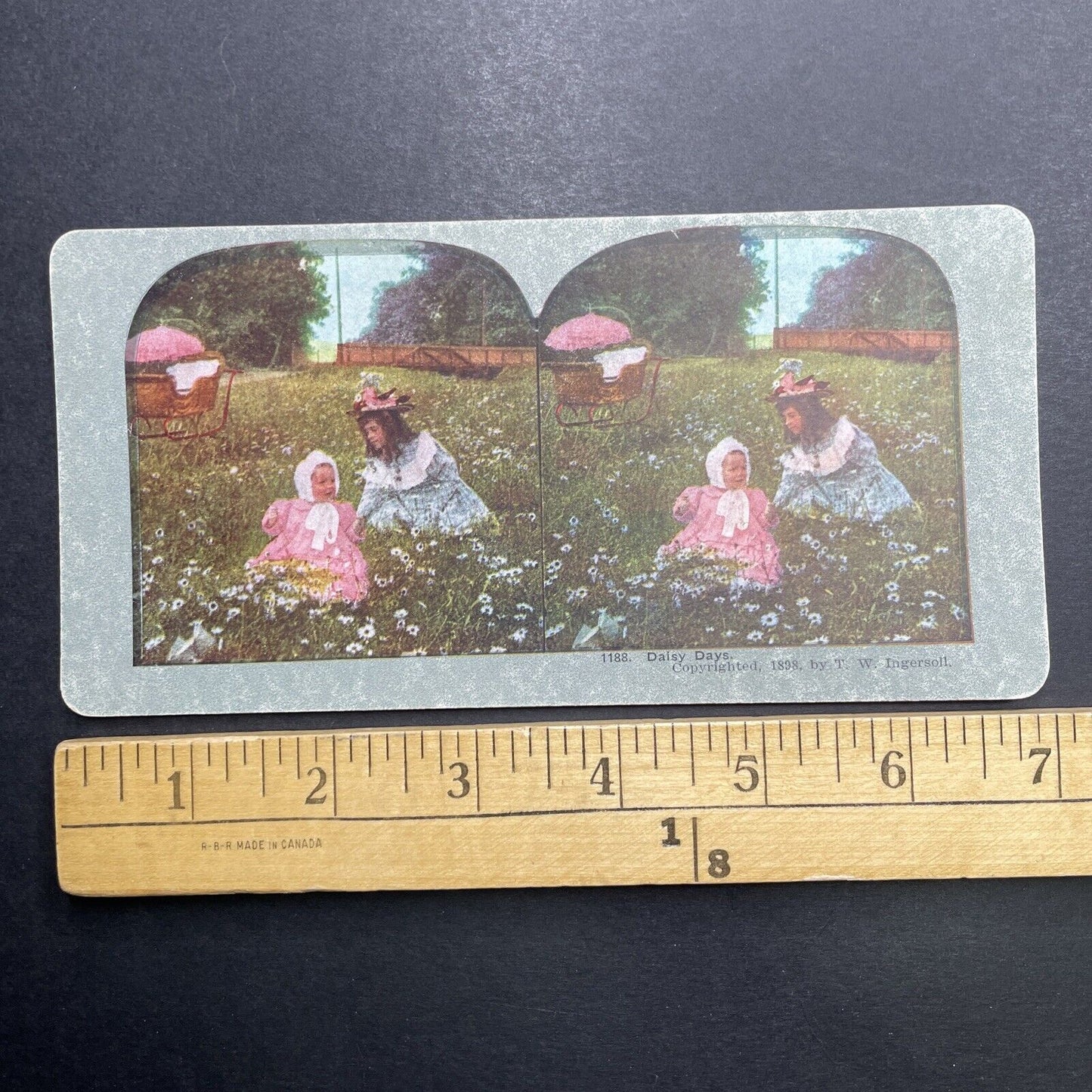 Antique 1898 Children Picking Daisies In A Field Stereoview Photo Card P1214