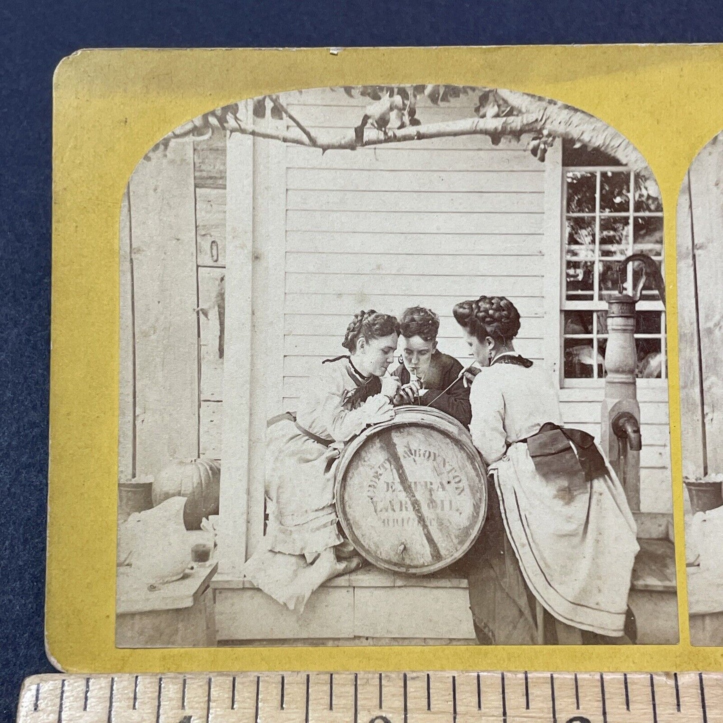 Antique 1872 Edwin Stone House Drinking Pig Fat Swanzey NH Stereoview Card V2109