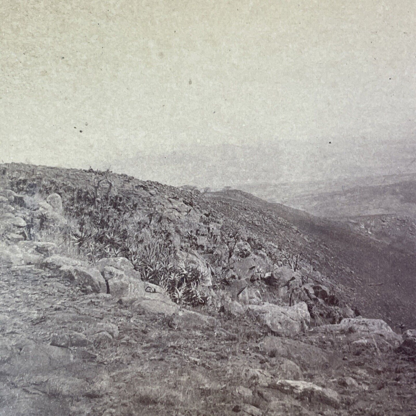 Bloodiest Battleground of the Boer War Stereoview South Africa c1901 Y3014