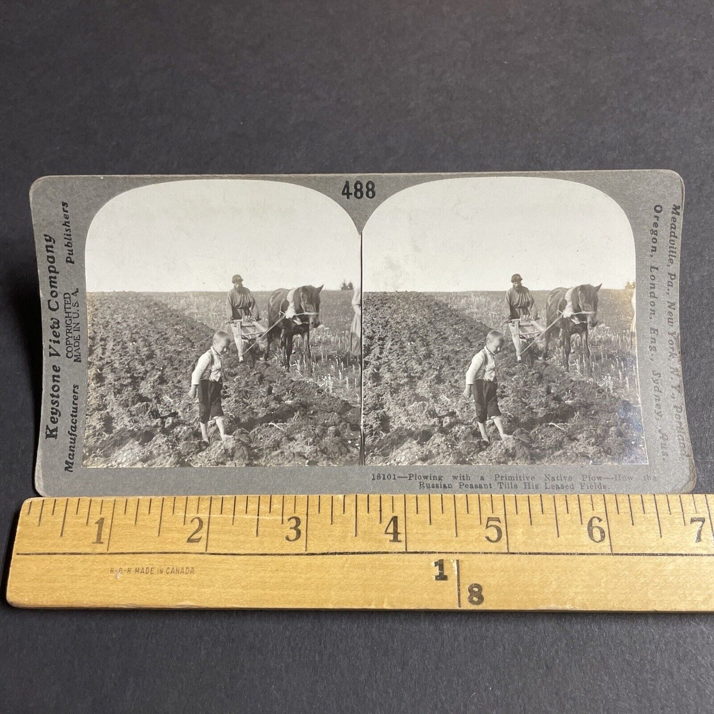 Antique 1910s Man & Boy Plowing Fields In Ukraine Stereoview Photo Card P4243