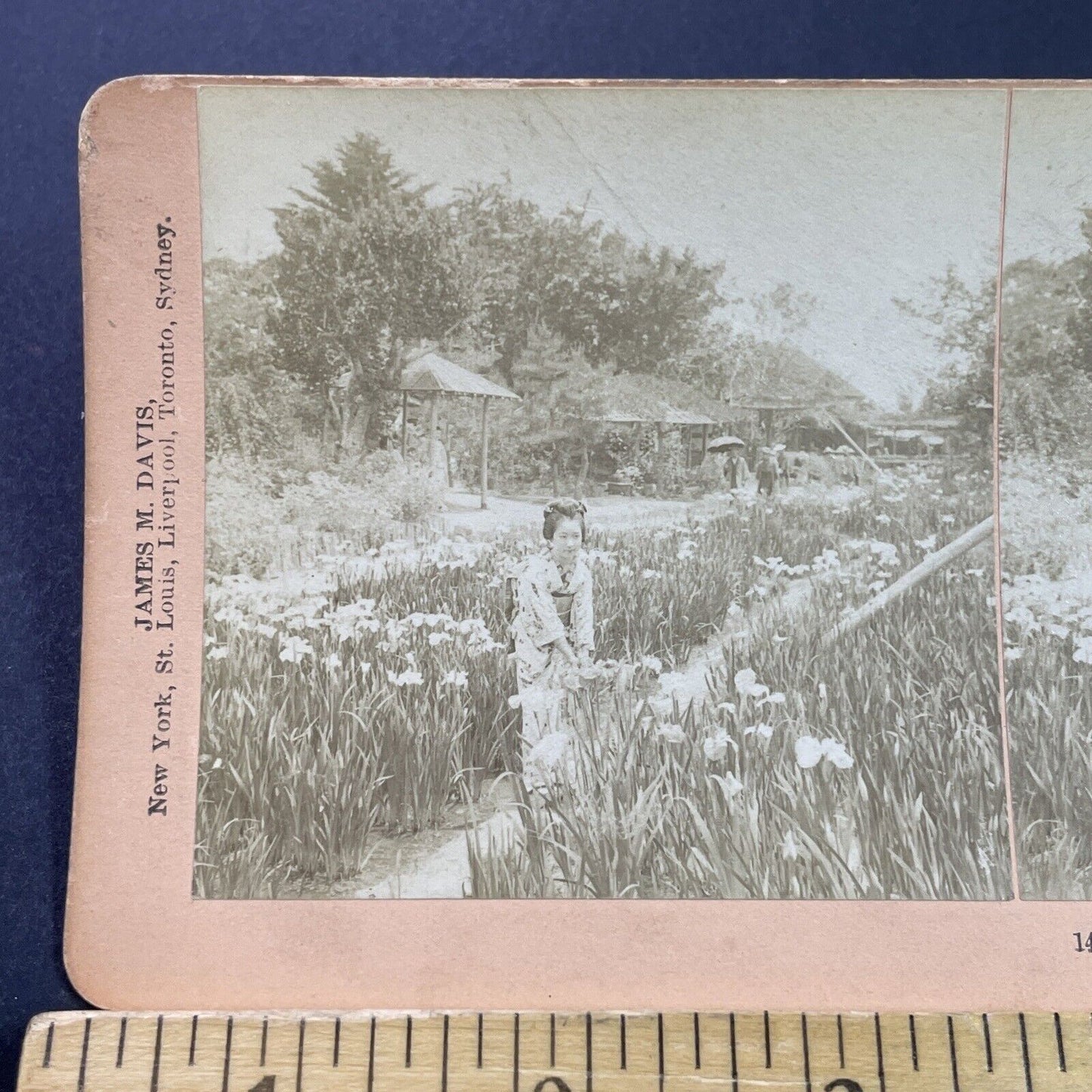 Antique 1901 Japanese Geisha In A Garden Japan Stereoview Photo Card P3845