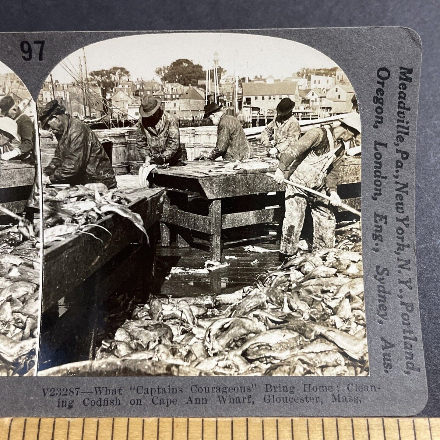 Antique 1920s Cleaning Cod Fish Gloucester MASS Stereoview Photo Card P5506