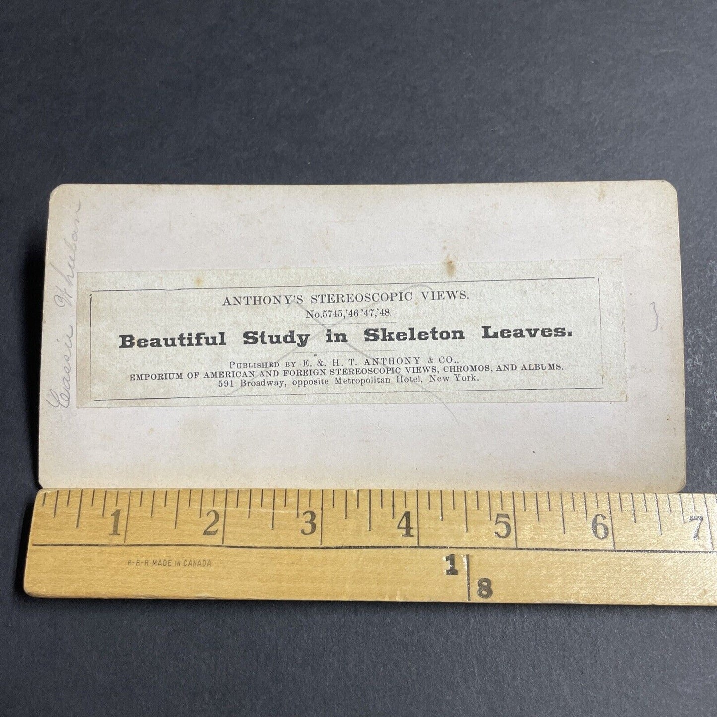 Antique 1862 Cassie Wheelan Funeral Coffin Flowers Stereoview Photo Card P4677