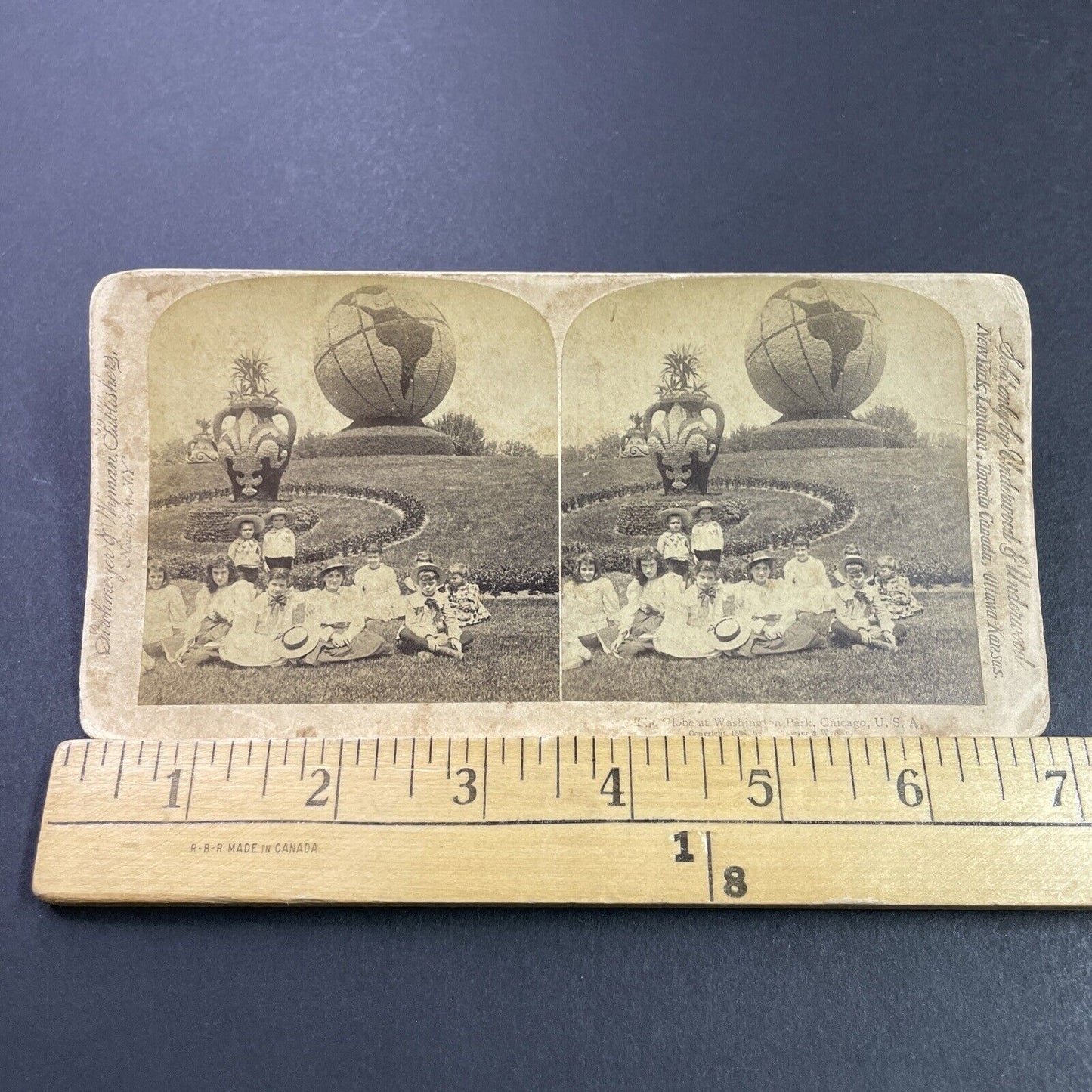 Antique 1894 Giant Flower Globe In Chicago Illinois Stereoview Photo Card P3790