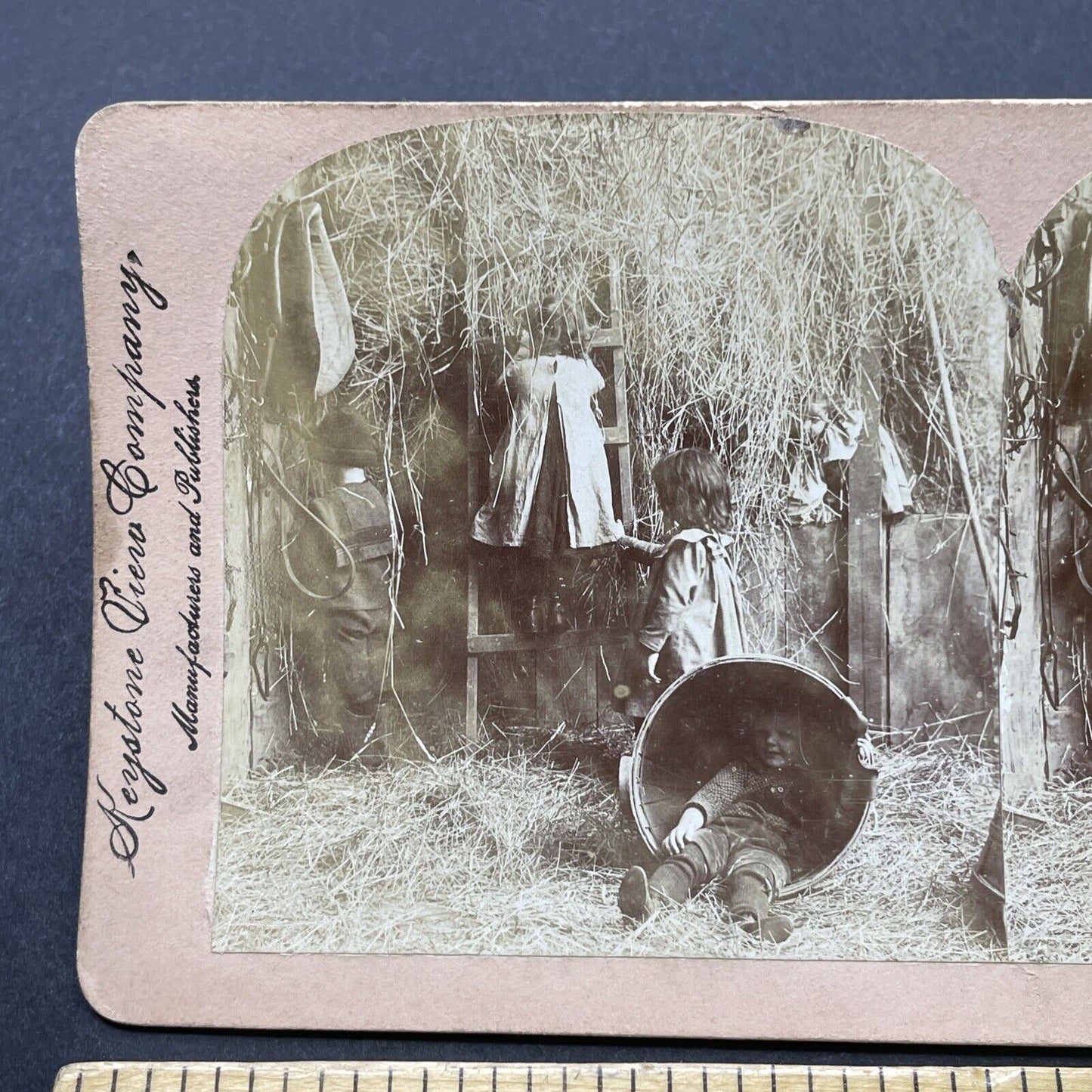 Antique 1901 Hide-And-Seek In A Barnyard Stereoview Photo Card P2607