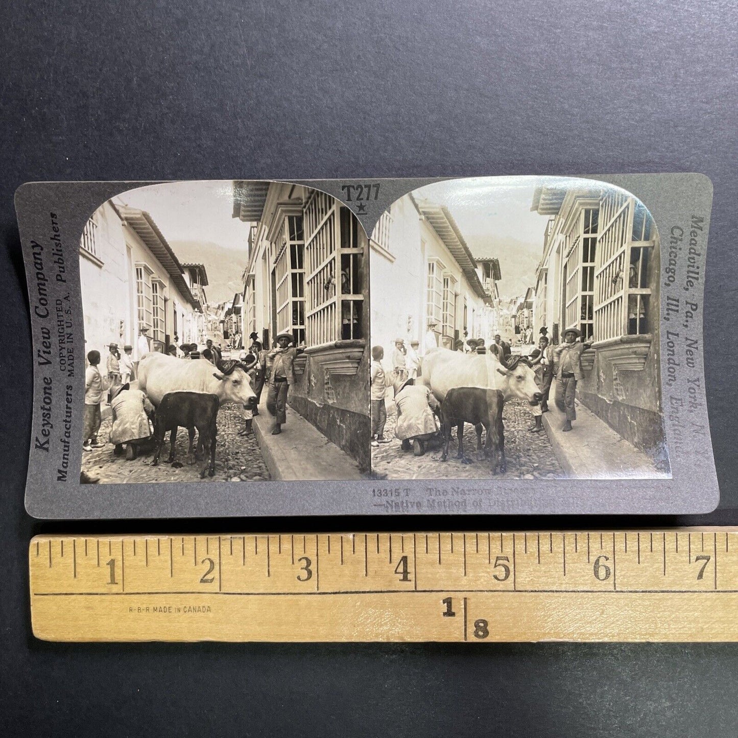 Antique 1918 Milking Cows Downtown Caracas Venezuela Stereoview Photo Card P1366