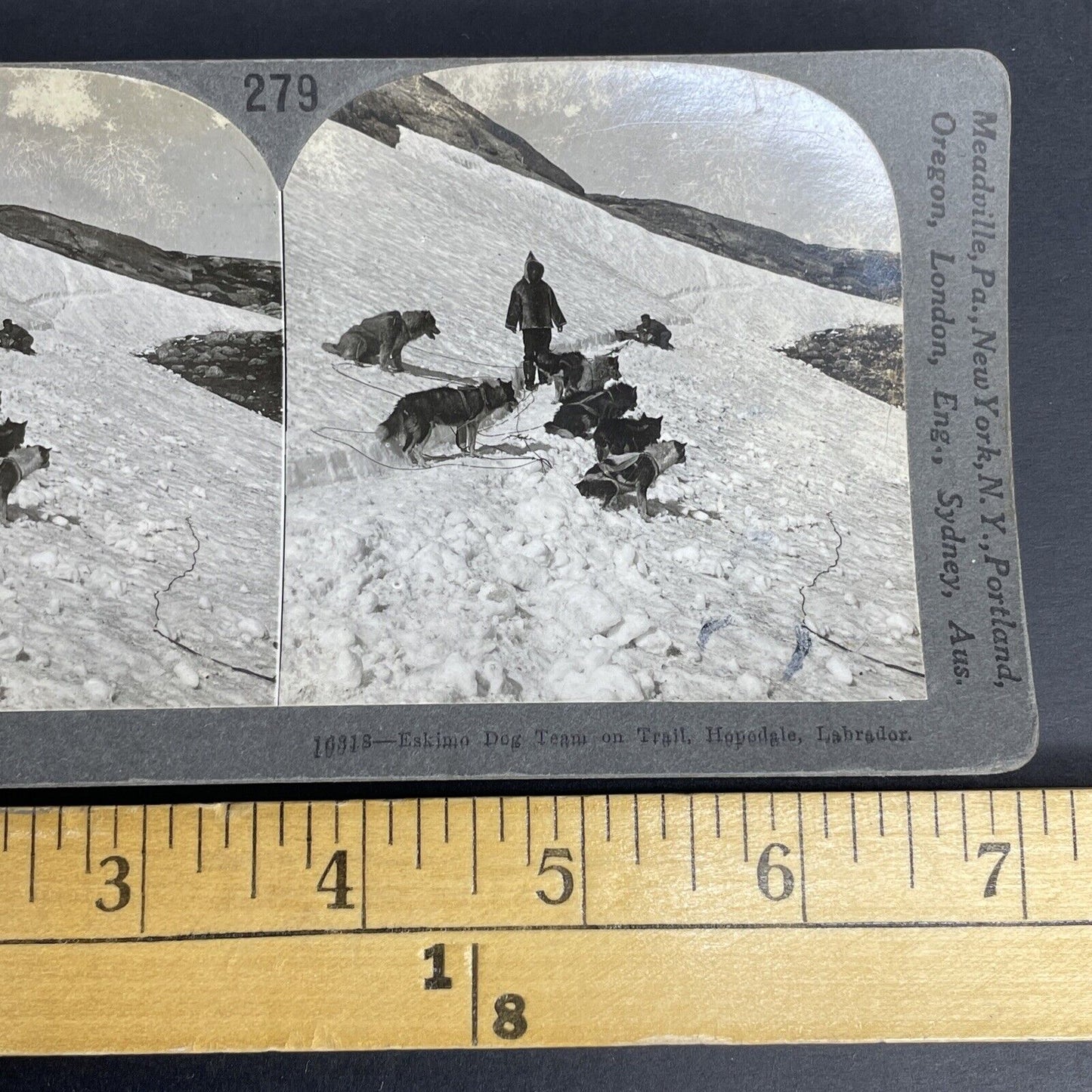 Antique 1905 Inuit Dog Sled Hunters Hopedale Labrador Stereoview Photo Card P833